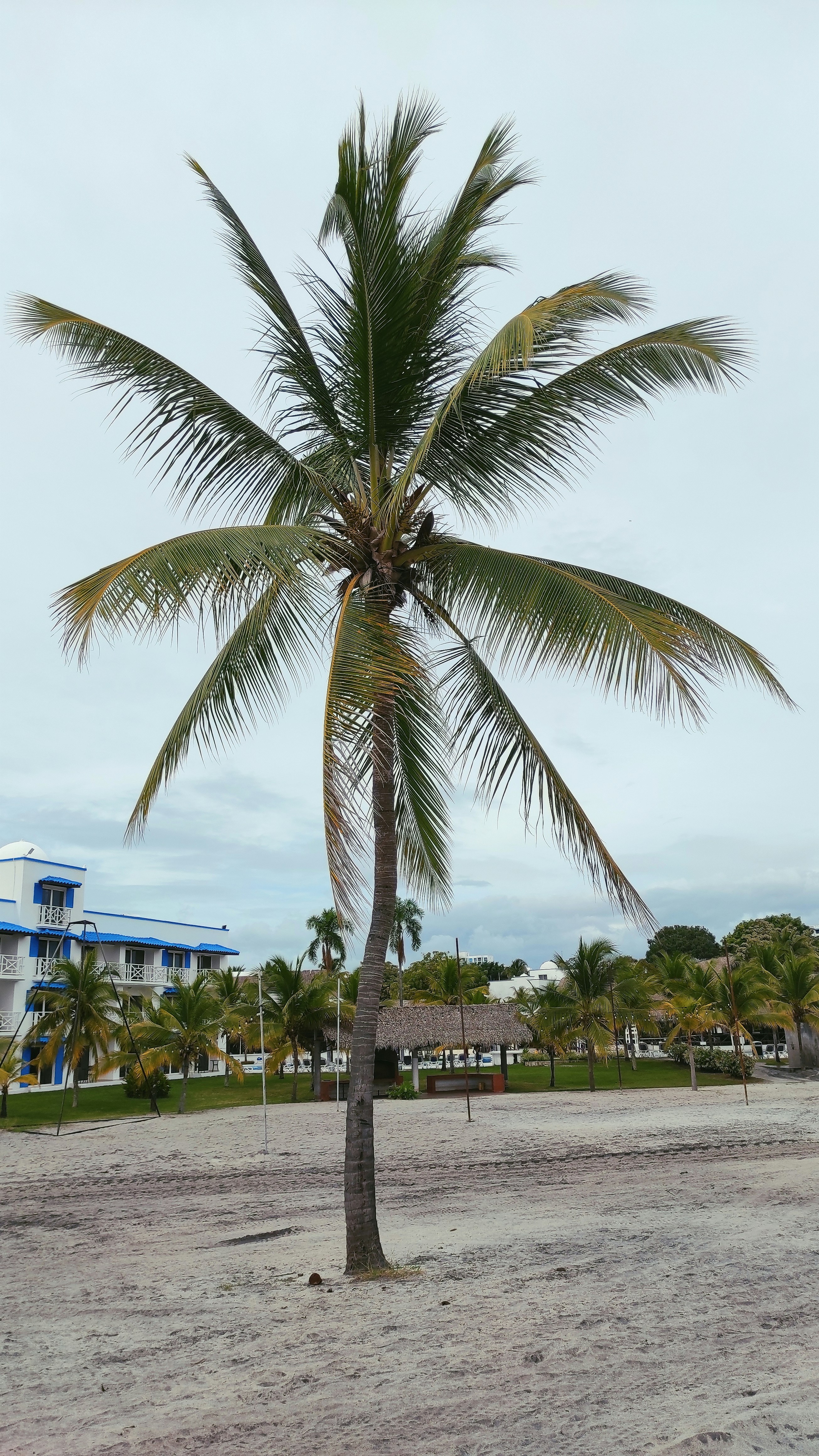 photo-1646082143690-ce37b7b3f08d?ixid=M3wxMjA3fDB8MXxzZWFyY2h8ODV8fGNvbXByYXIlMjB0cnVmYSUyMGJsYW5jYXxlbnwwfHx8fDE3MDE0MjQ2MTR8MA%5Cu0026ixlib=rb-4.0.3