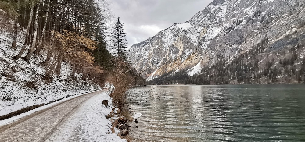 a snowy road next to a body of water