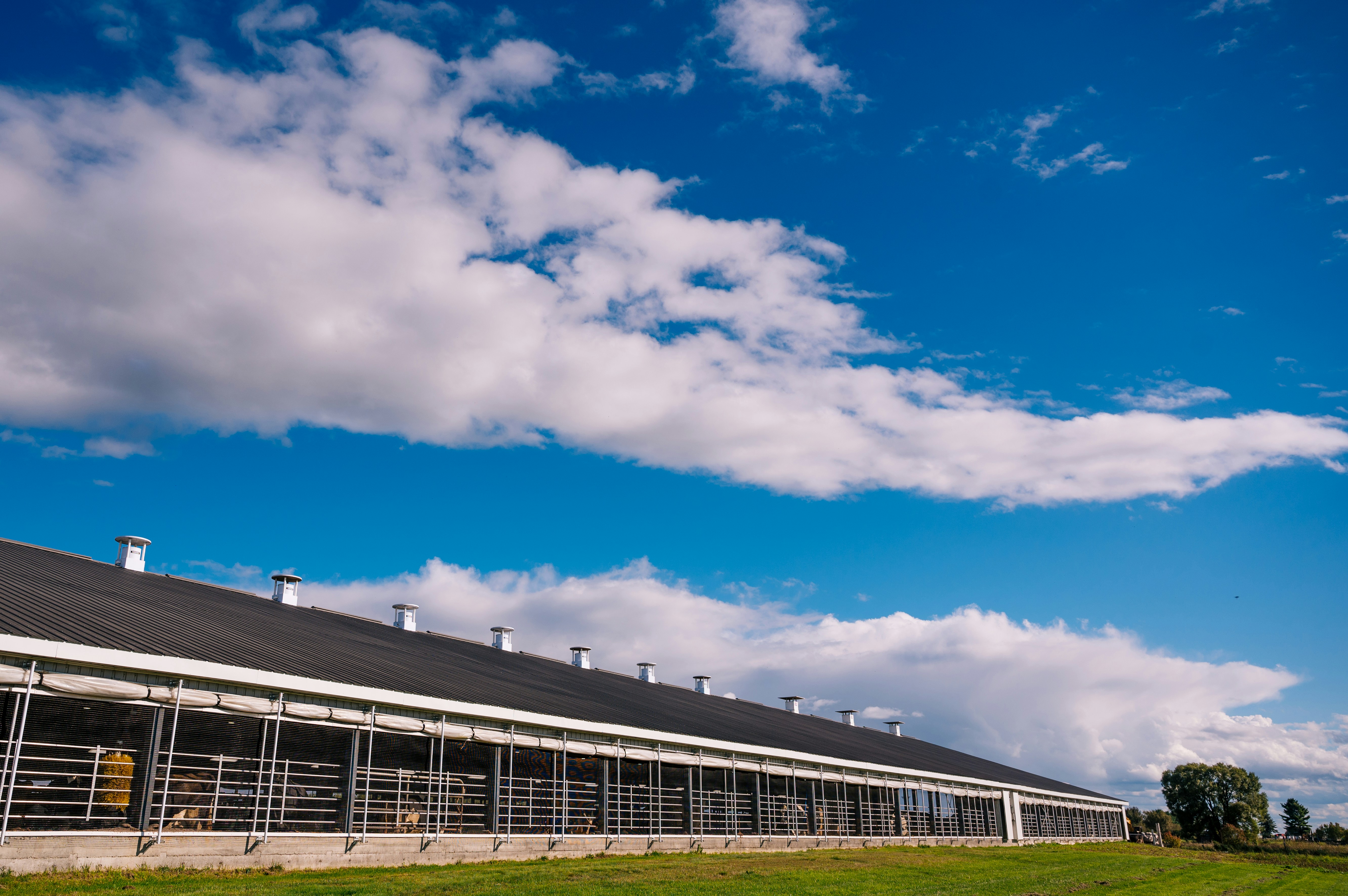 Photo by temiscamingue