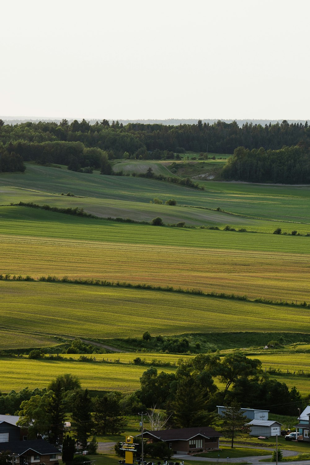 a field of green grass with houses in the distance