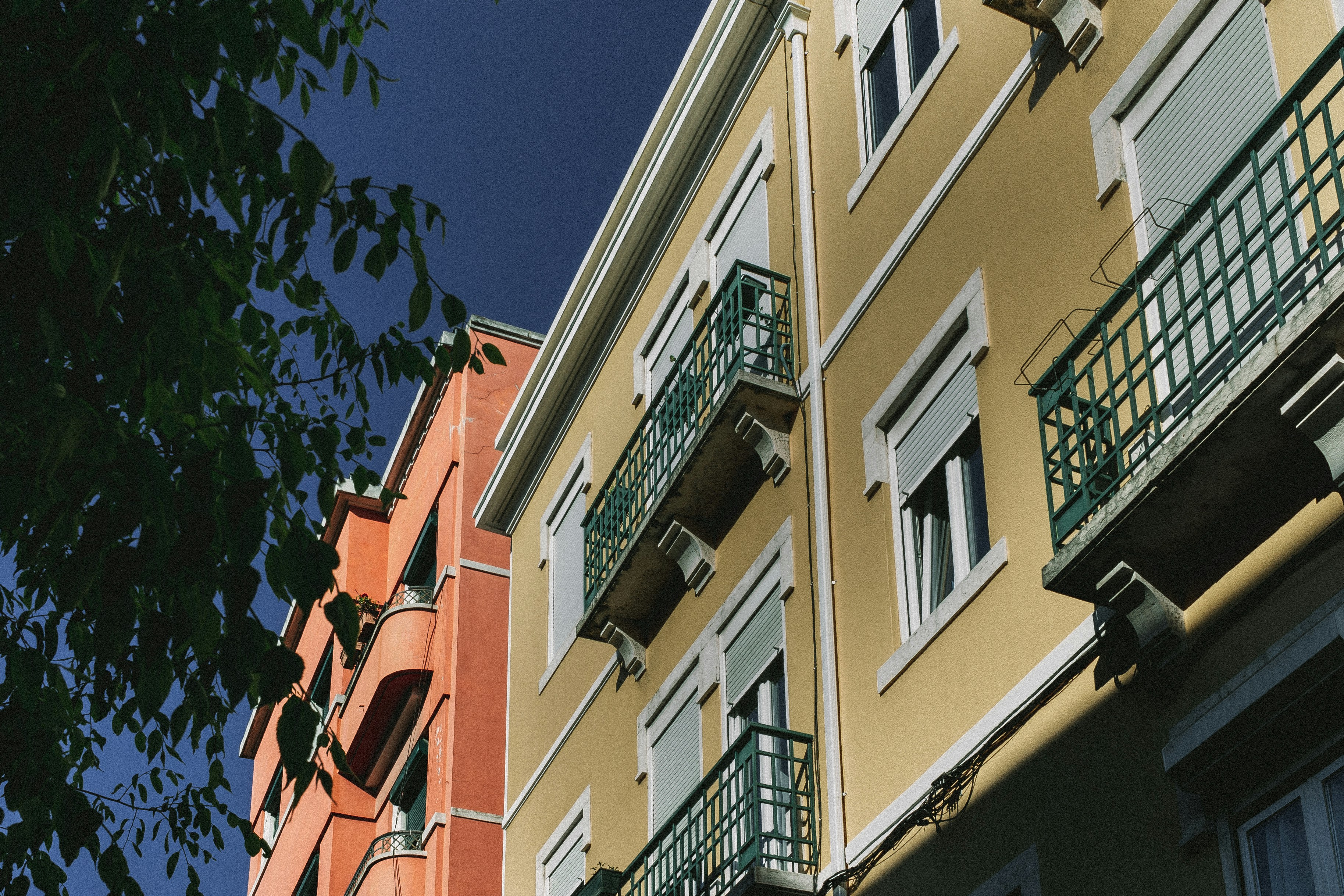 Photo by carlaheyworth