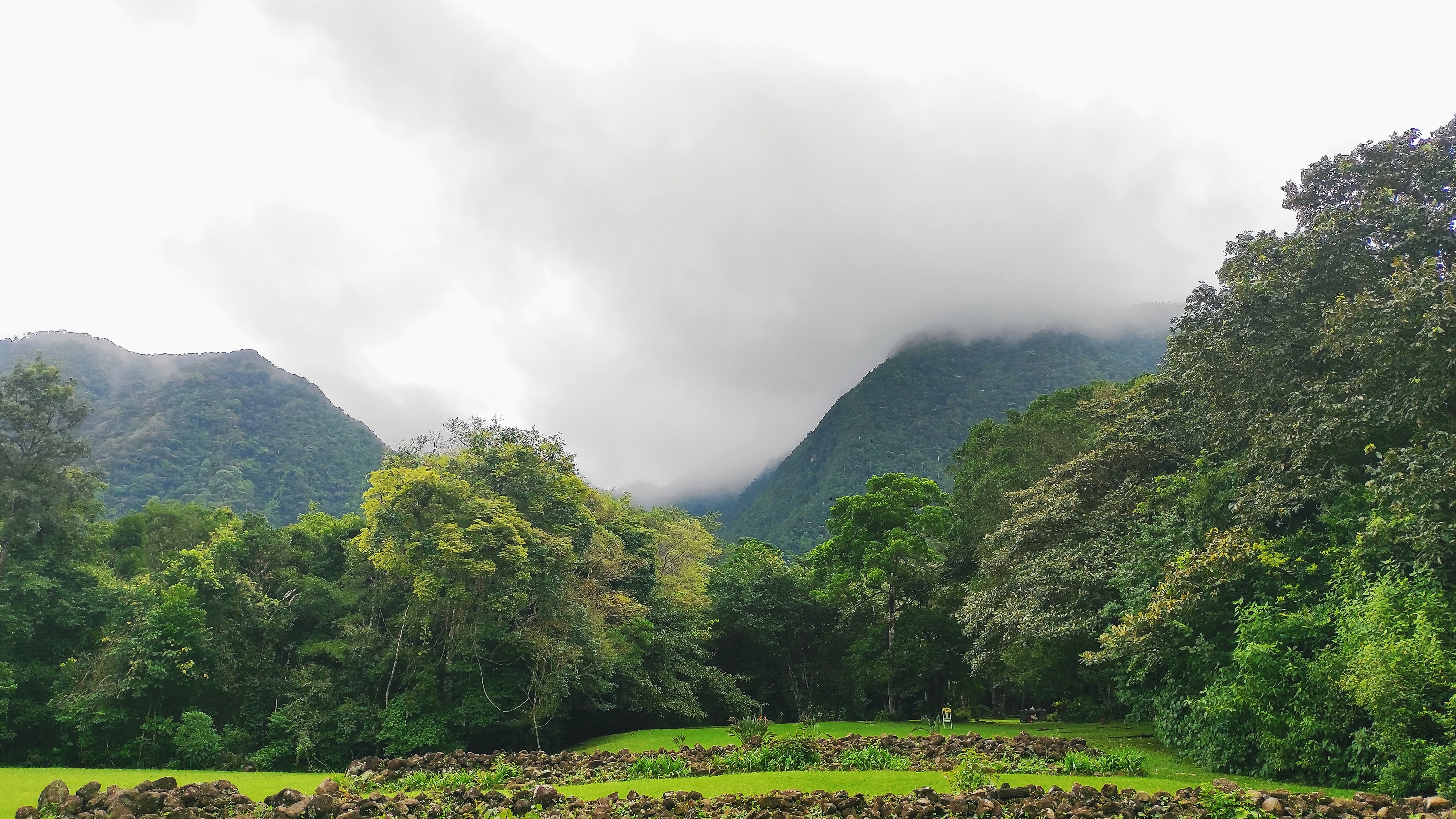 Photo by ahmedrangel