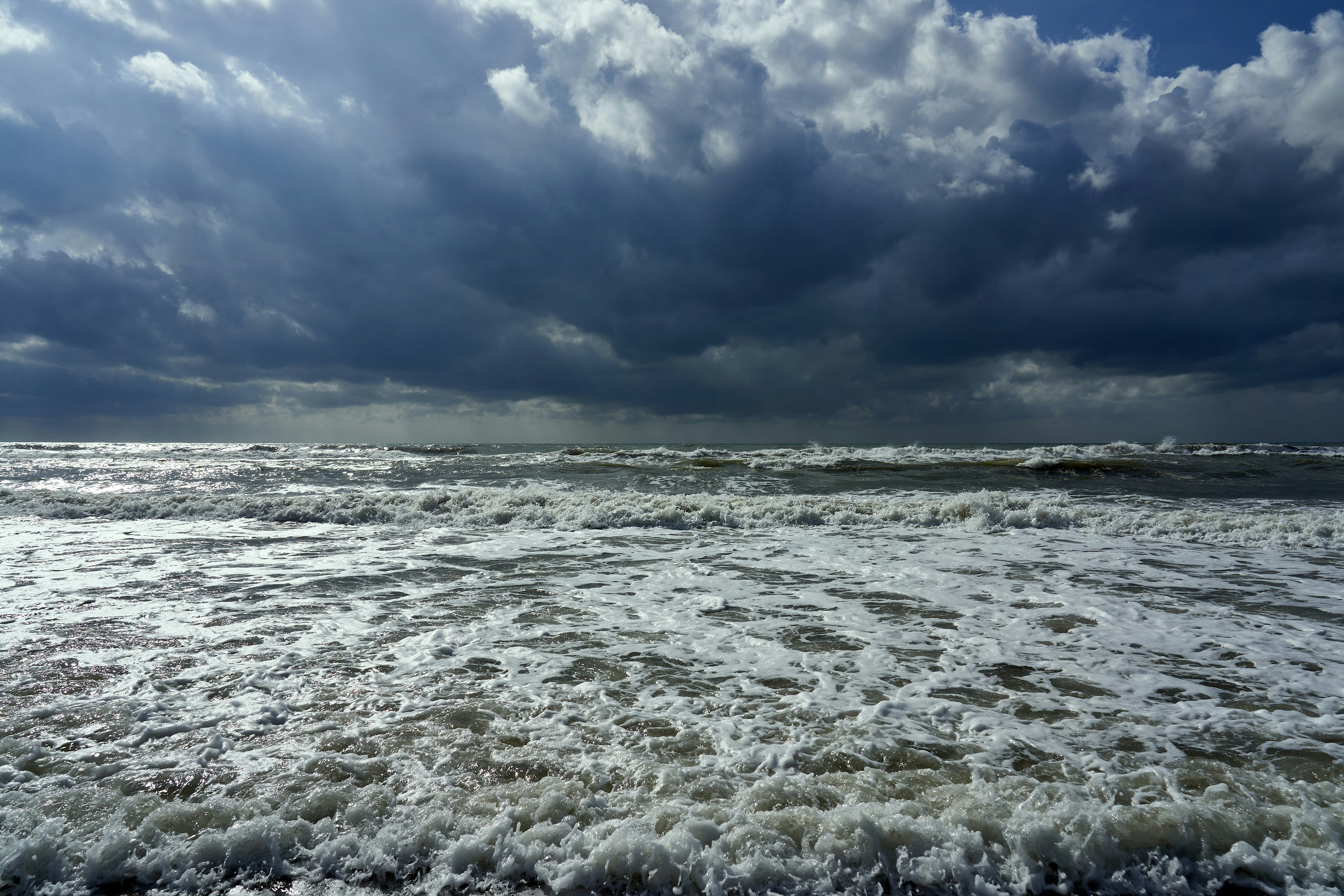 Photo by wolfgang_hasselmann