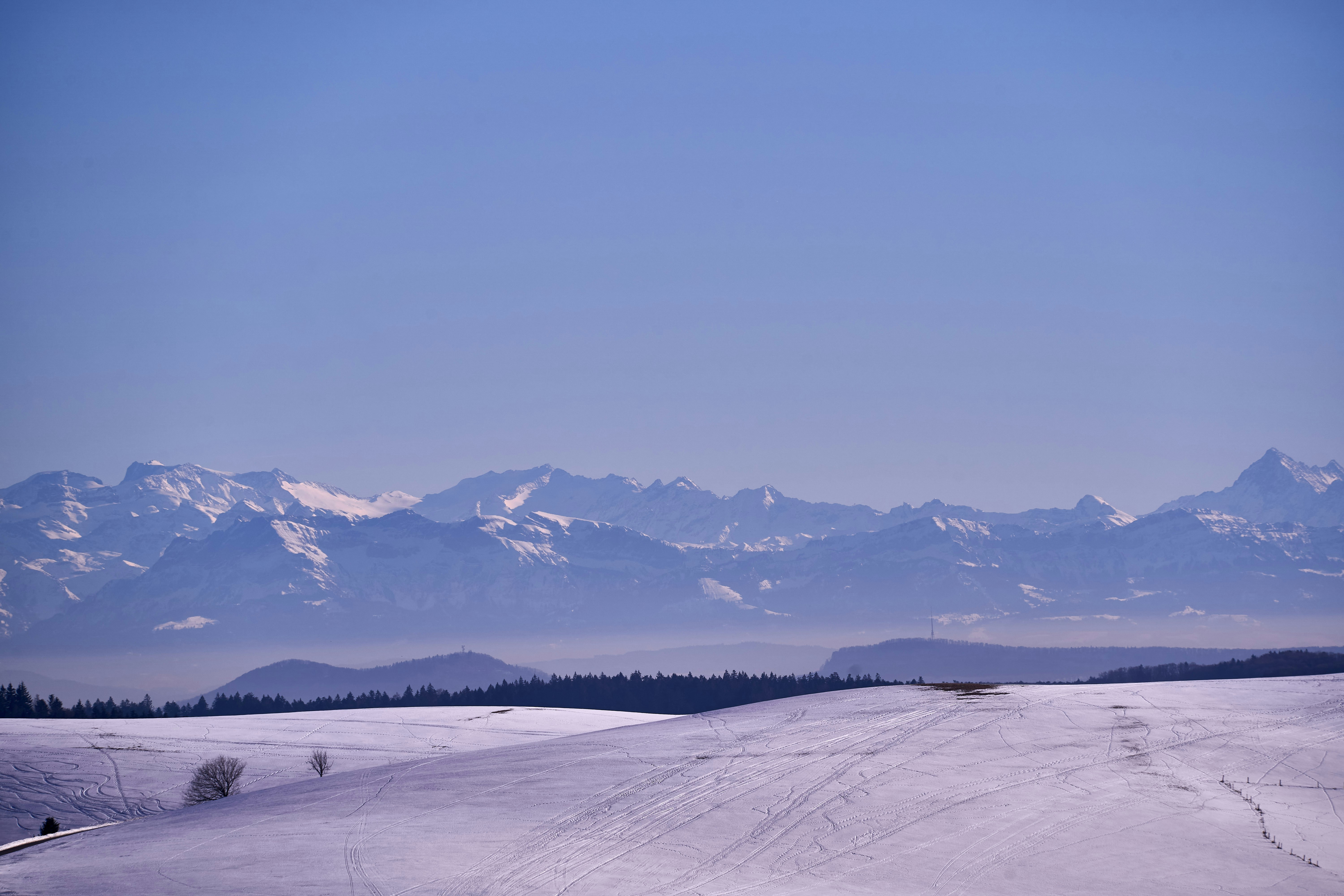 Photo by wolfgang_hasselmann