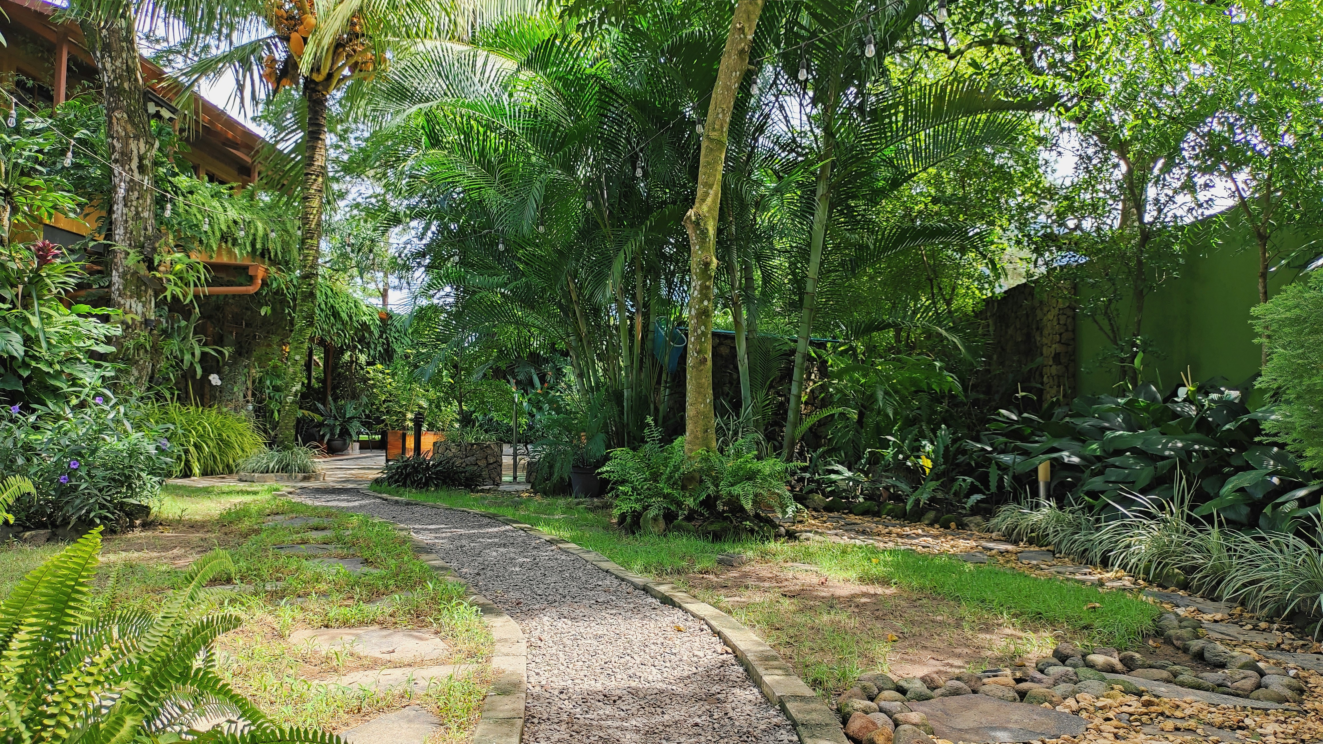 Casa Frangipani garden