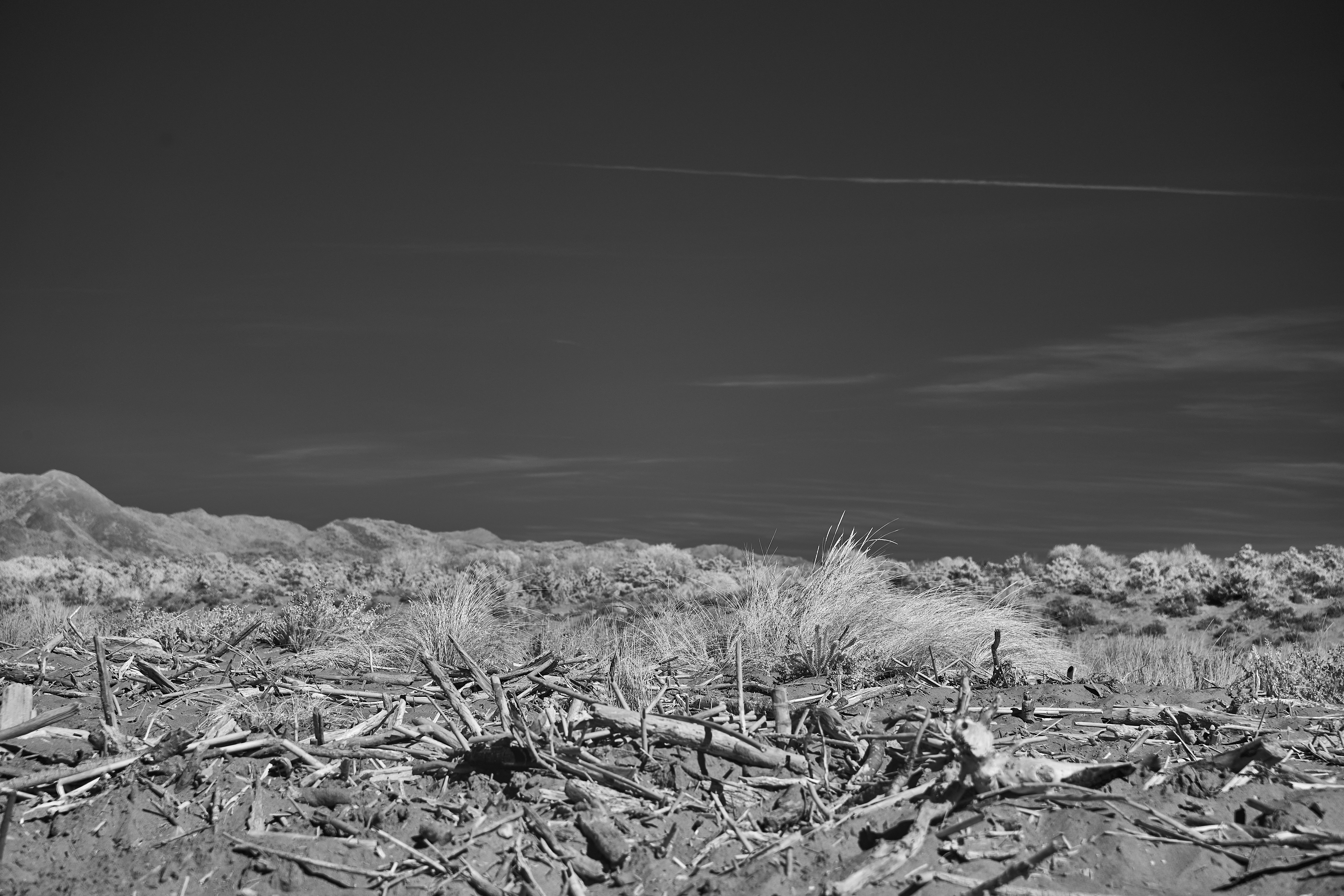 Photo by wolfgang_hasselmann