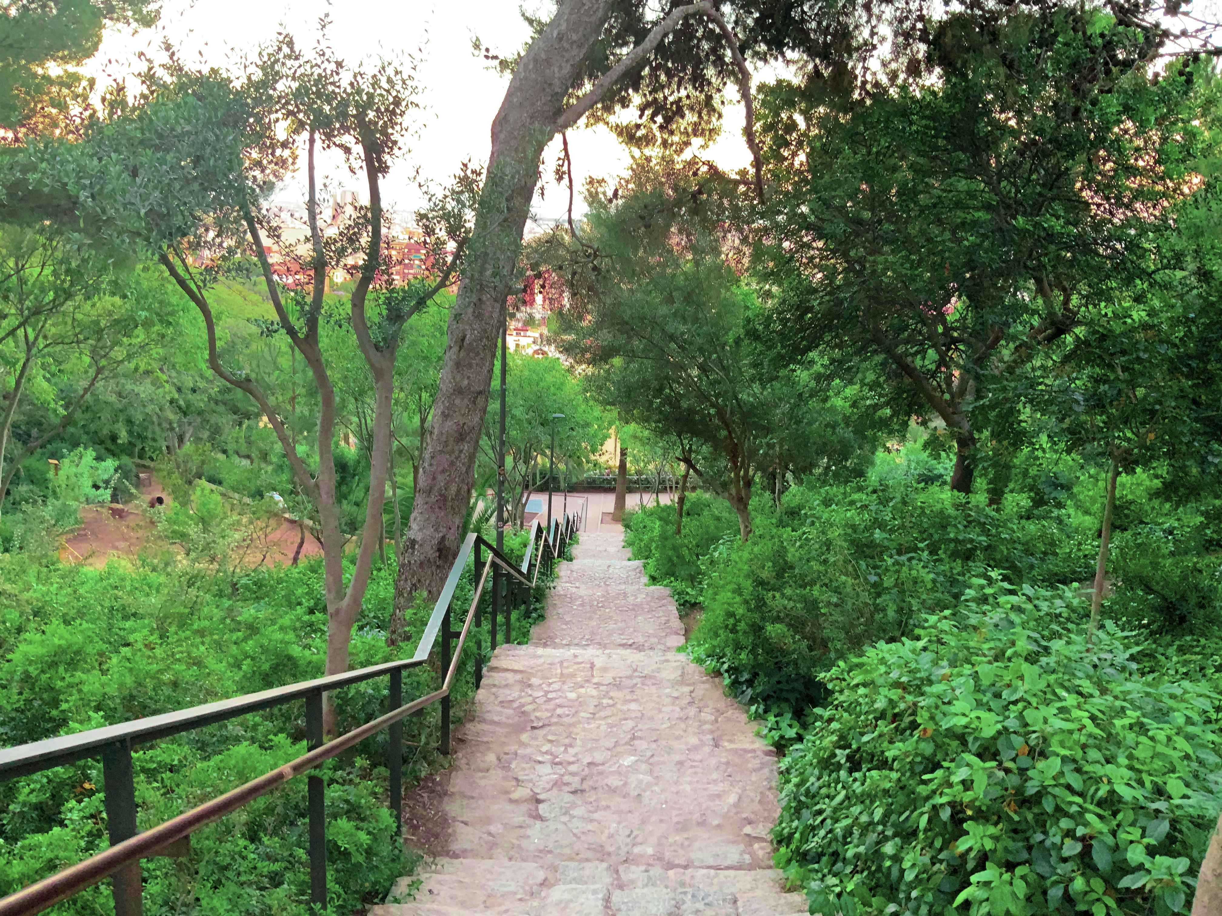 Photo by everhopefuljourney