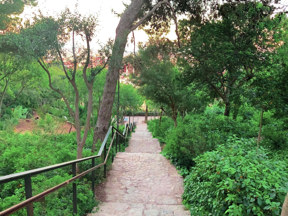 a stone path in the middle of a lush green forest