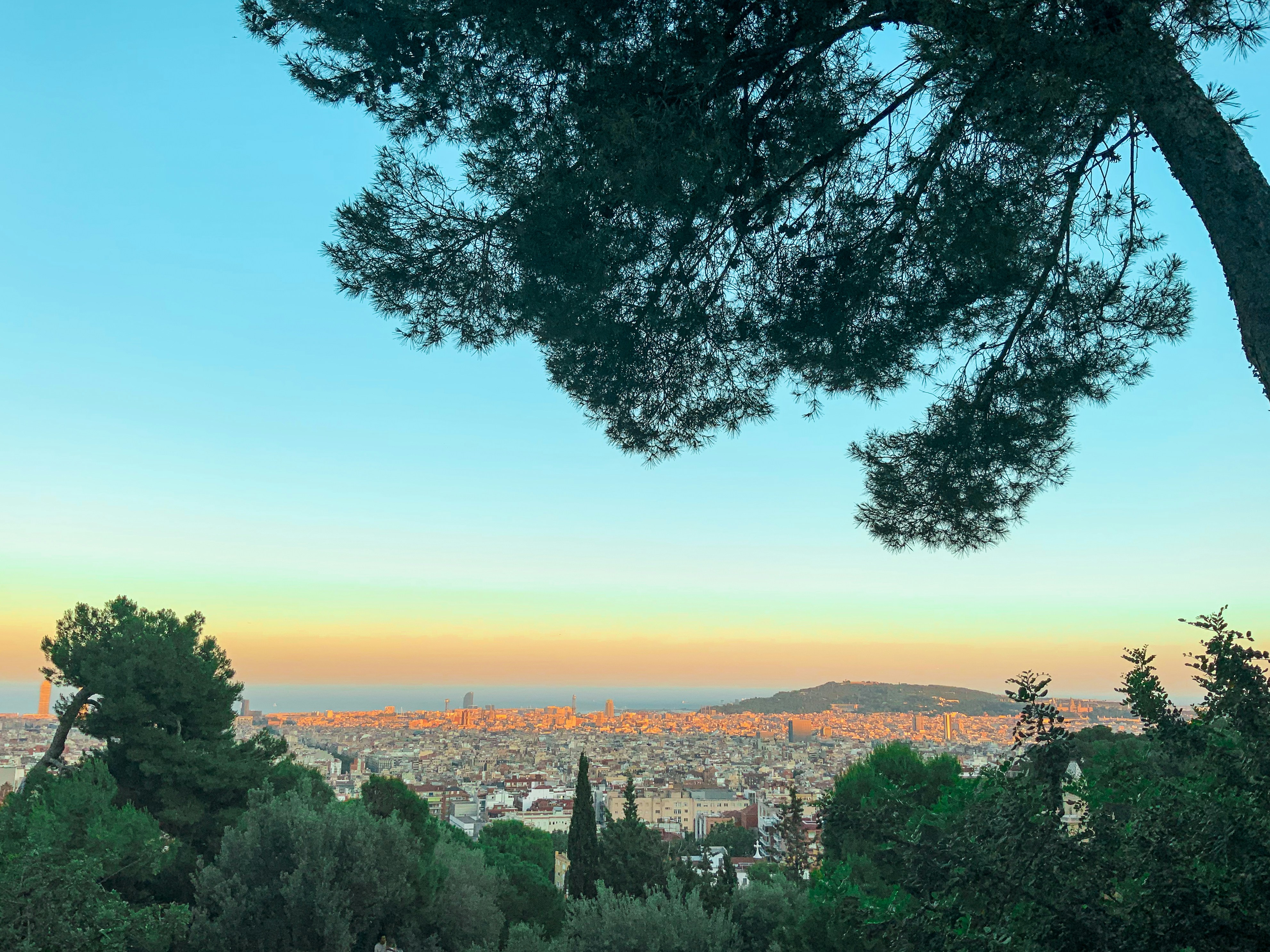 Photo by everhopefuljourney