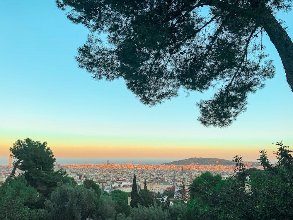 a view of a city from a hill