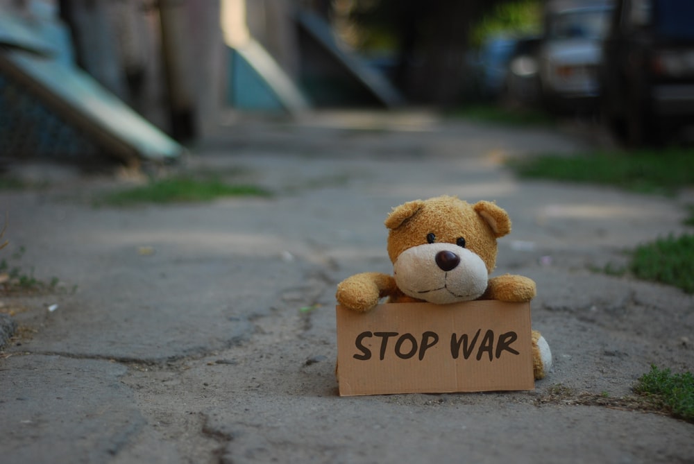 a teddy bear holding a sign that says stop war