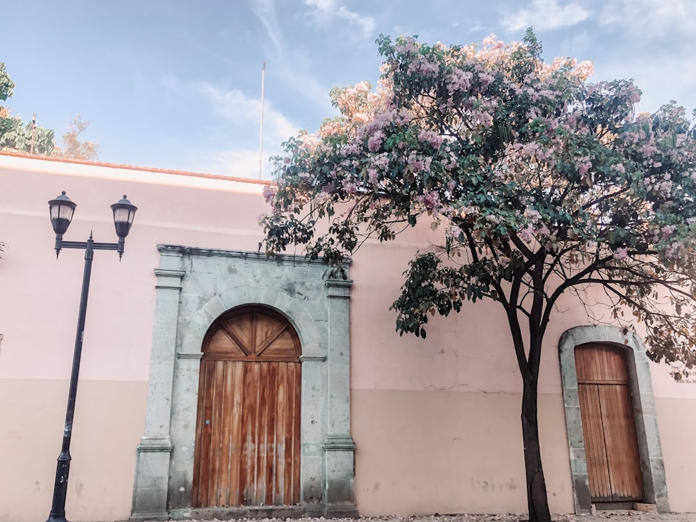 a tree in front of a pink building