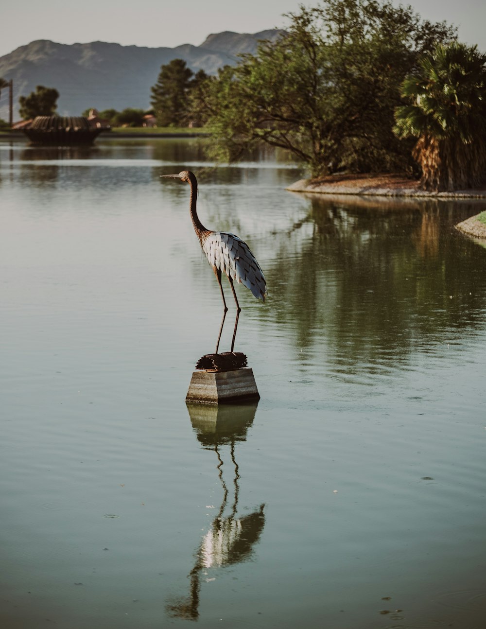 a bird standing on a rock in the middle of a lake