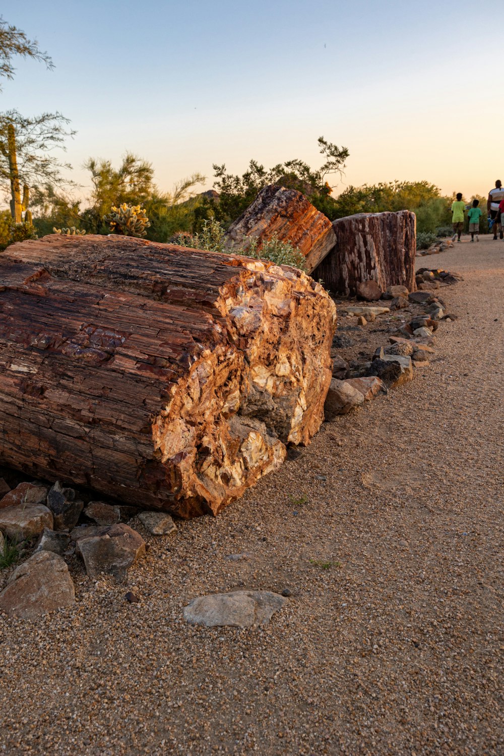 a large log sitting on top of a dirt road