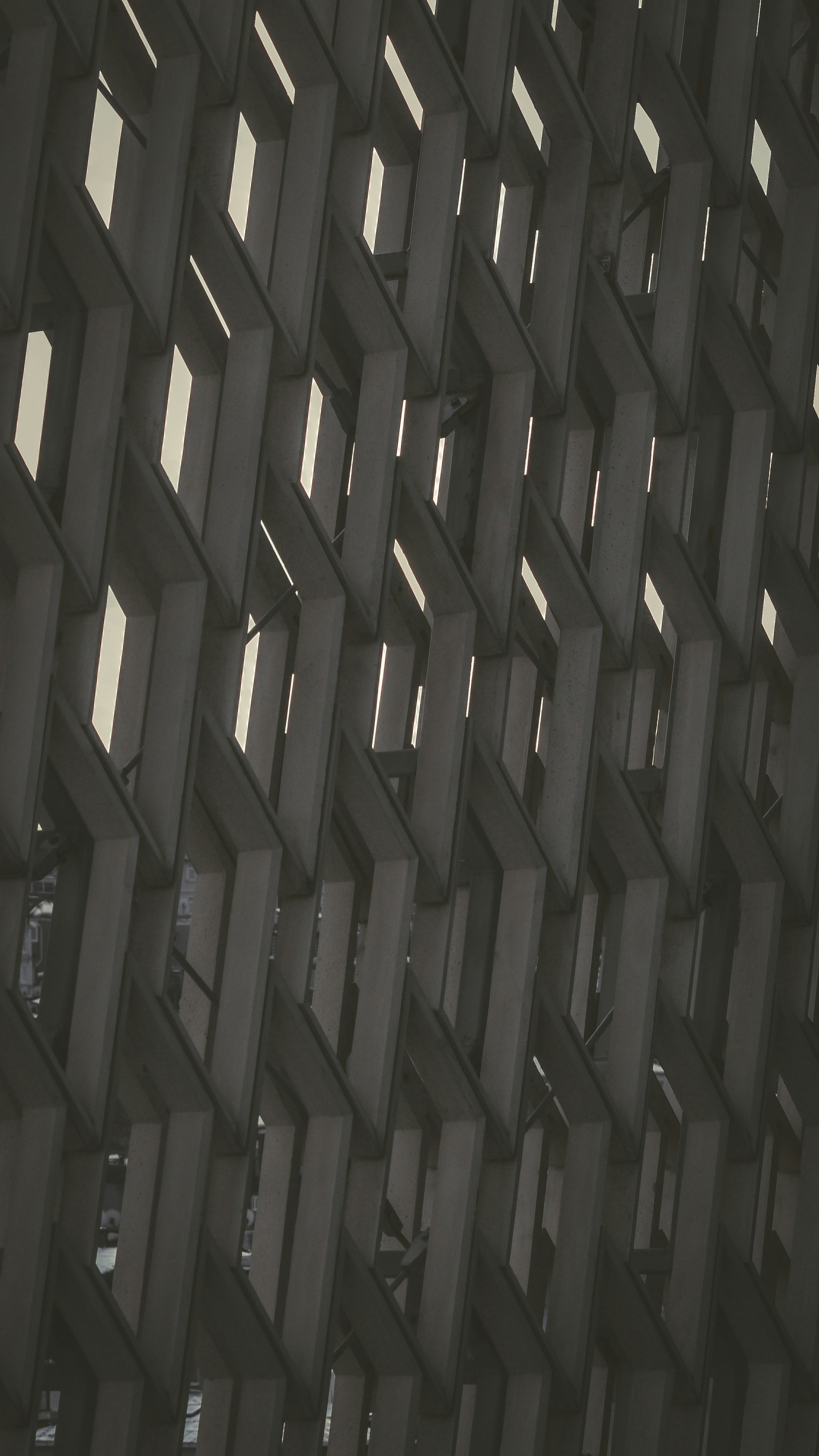 Photo by saidyigitcamlica