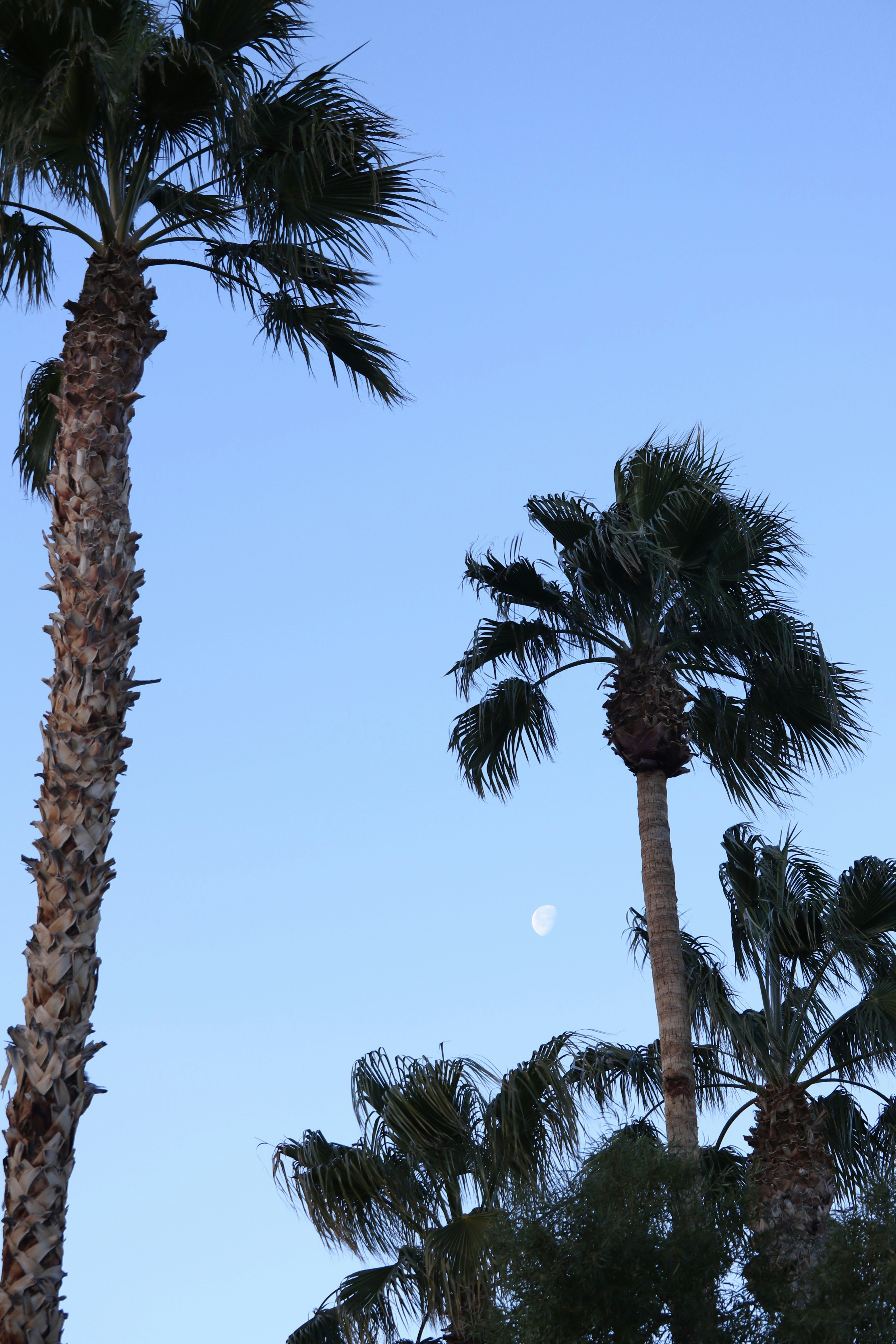 Photo by beesandgreentea