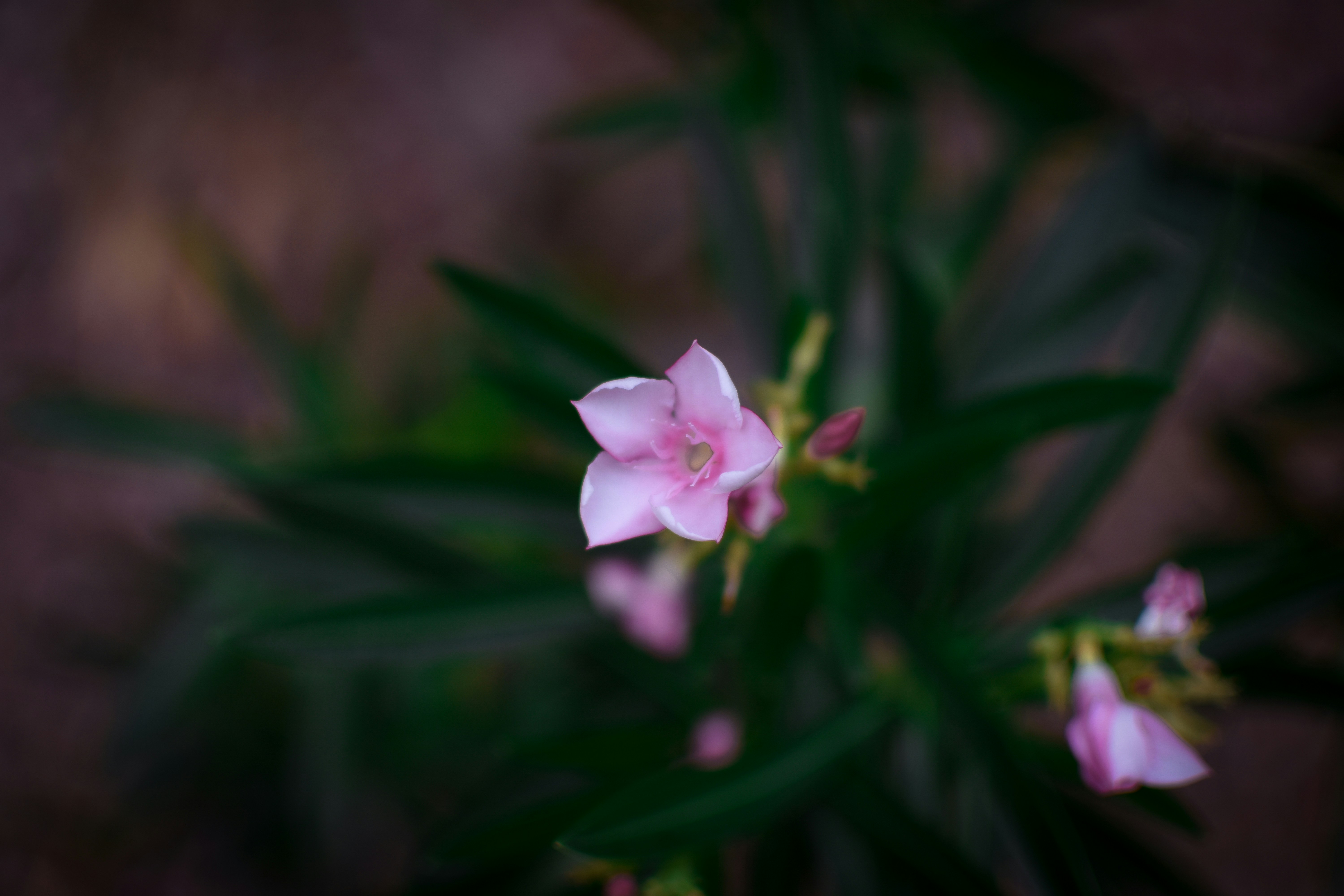 Photo by martyshoots