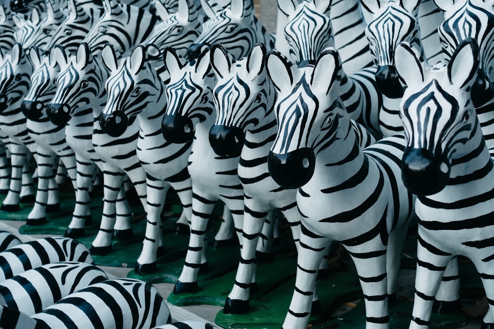 a bunch of zebras are lined up in a row