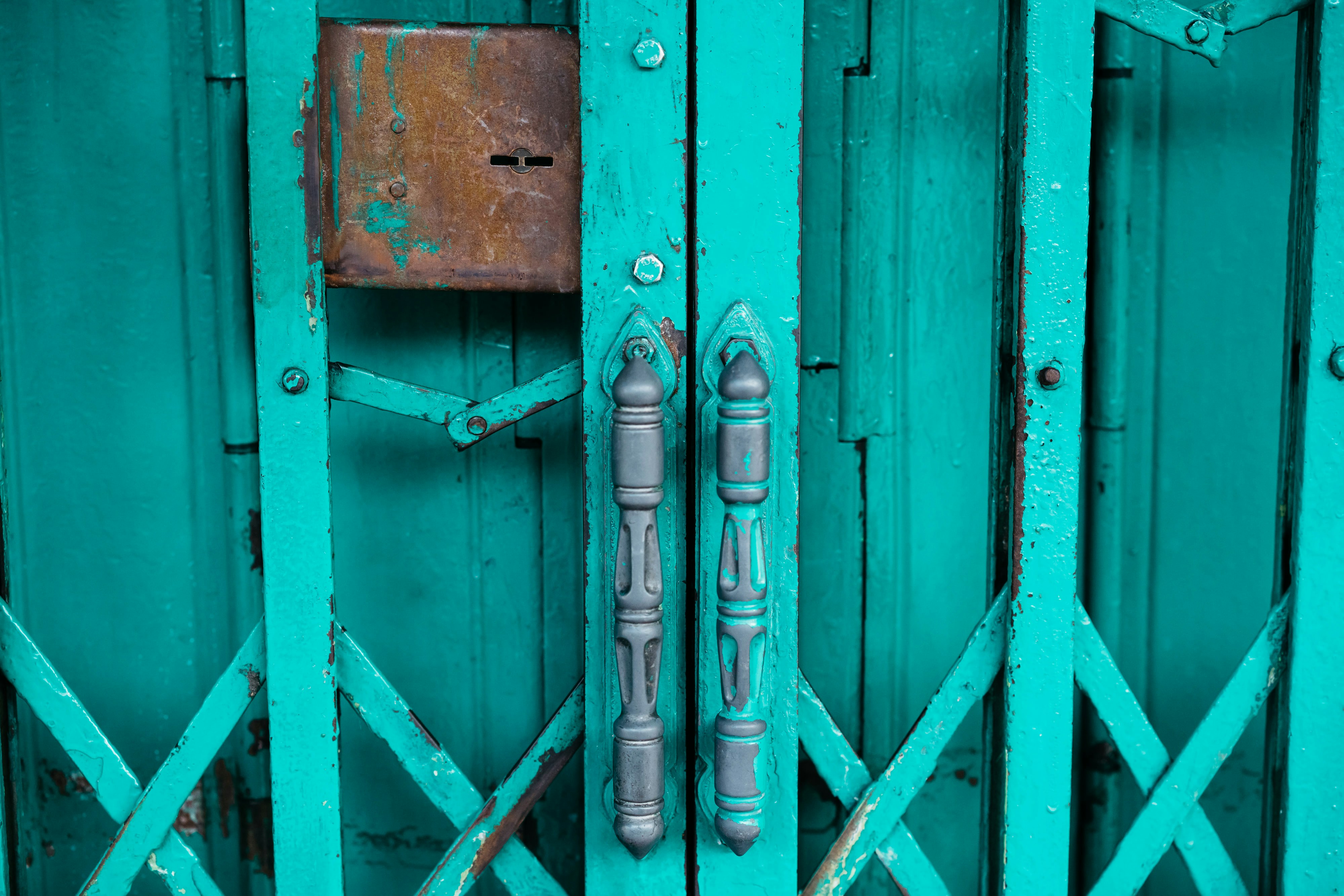 🚪 닫힌 문 너머, 심장이 뛰는 곳으로: 미지의 세계 탐험기