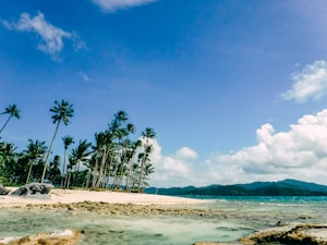 חבילות נופש