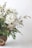 A bouquet of white flowers, likely daisies, arranged with green ferns and smaller white blooms. The bouquet is placed in a woven basket, creating a natural and rustic appearance.