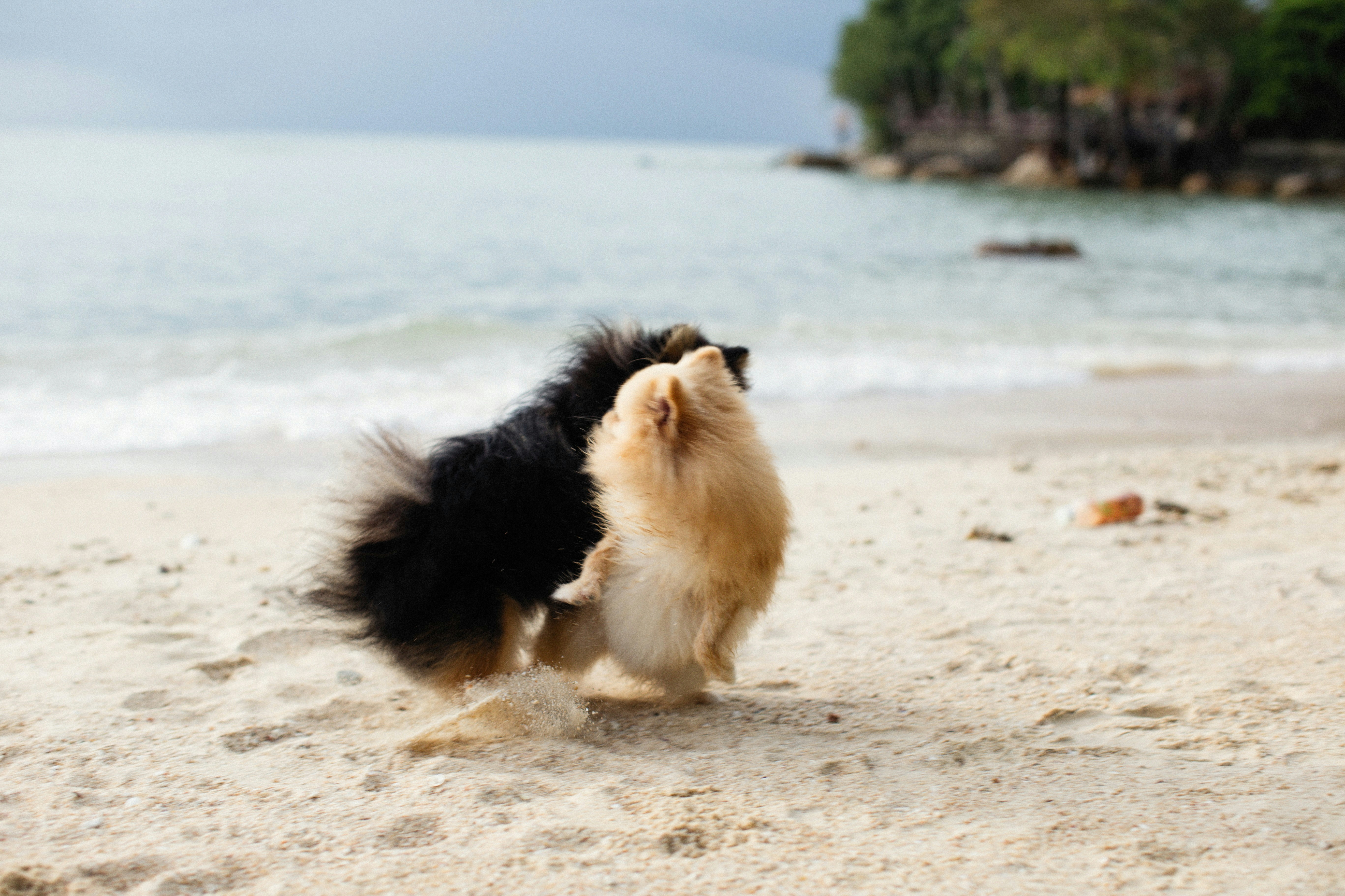 Photo by alexeydemidov