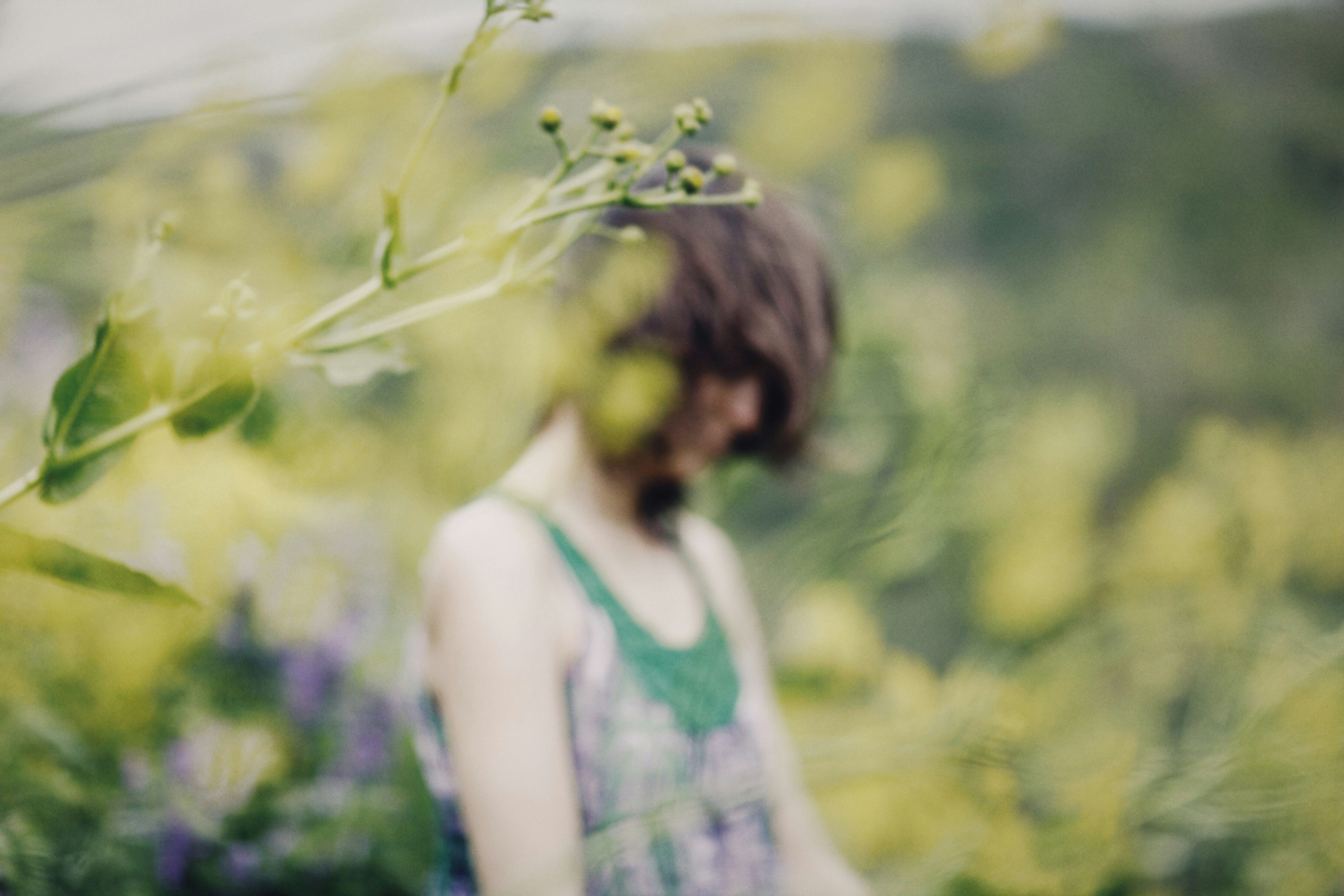 Photo by alexeydemidov