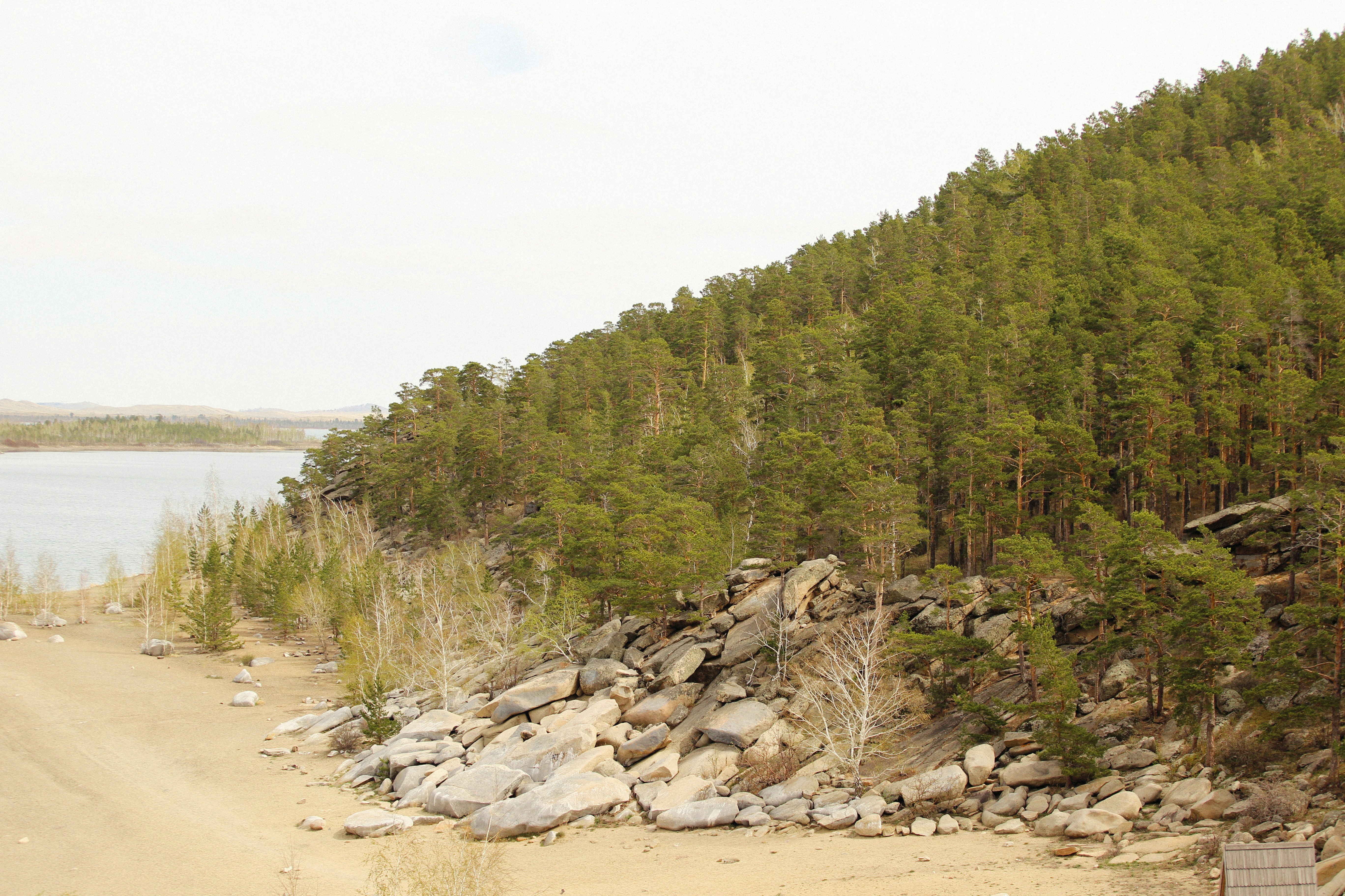 Photo by alexeydemidov