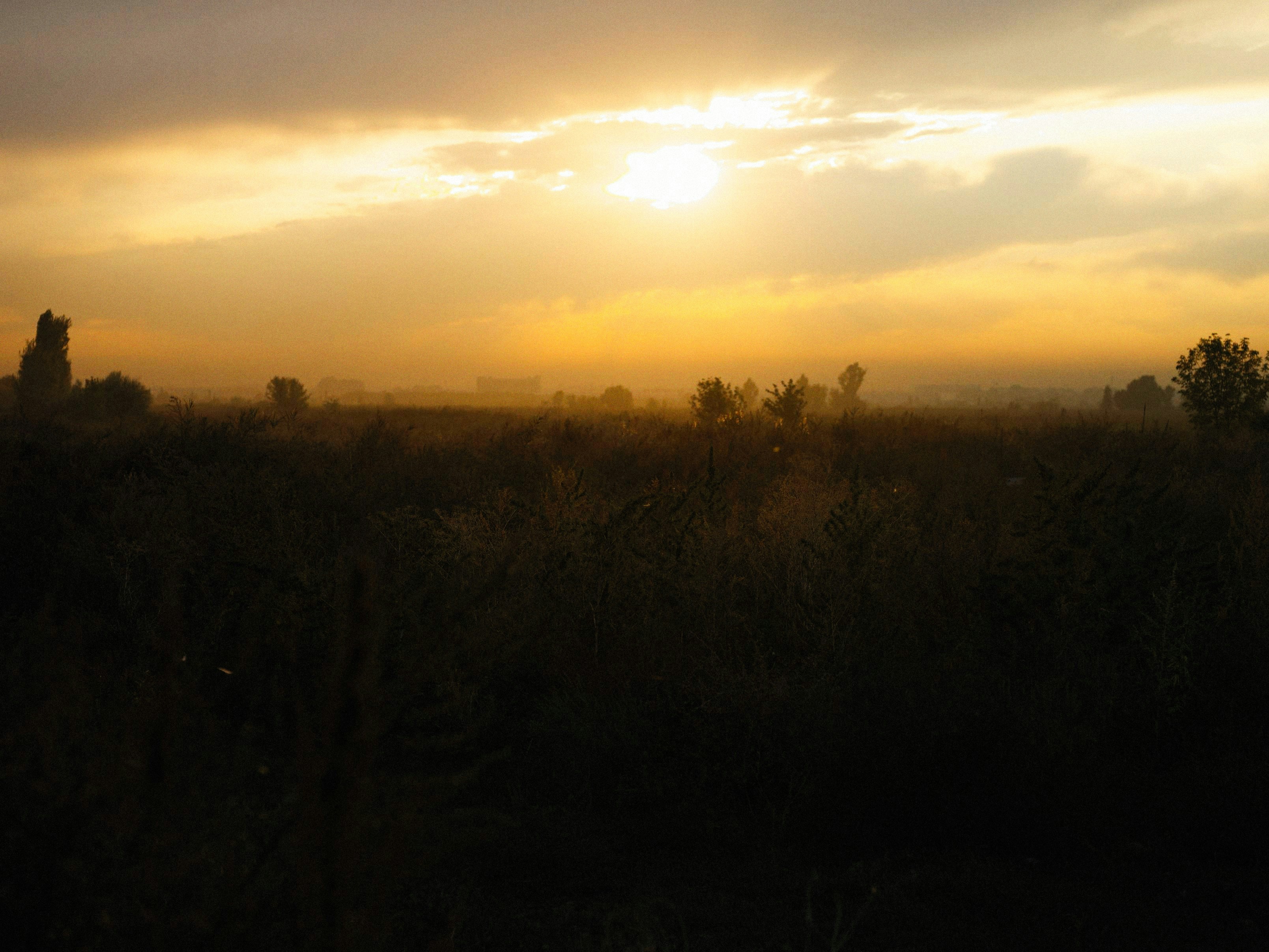 Photo by alexeydemidov