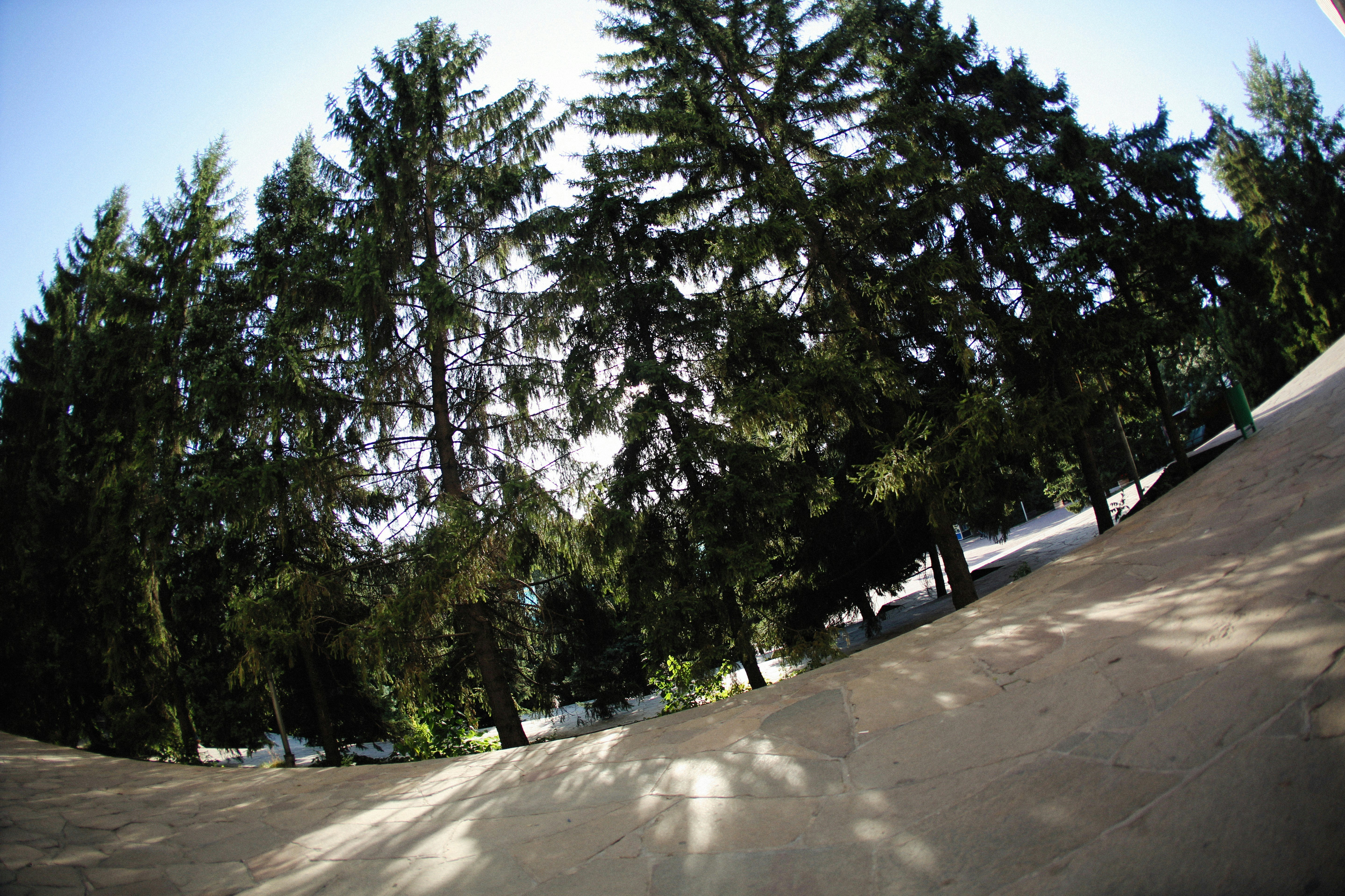 Photo by alexeydemidov