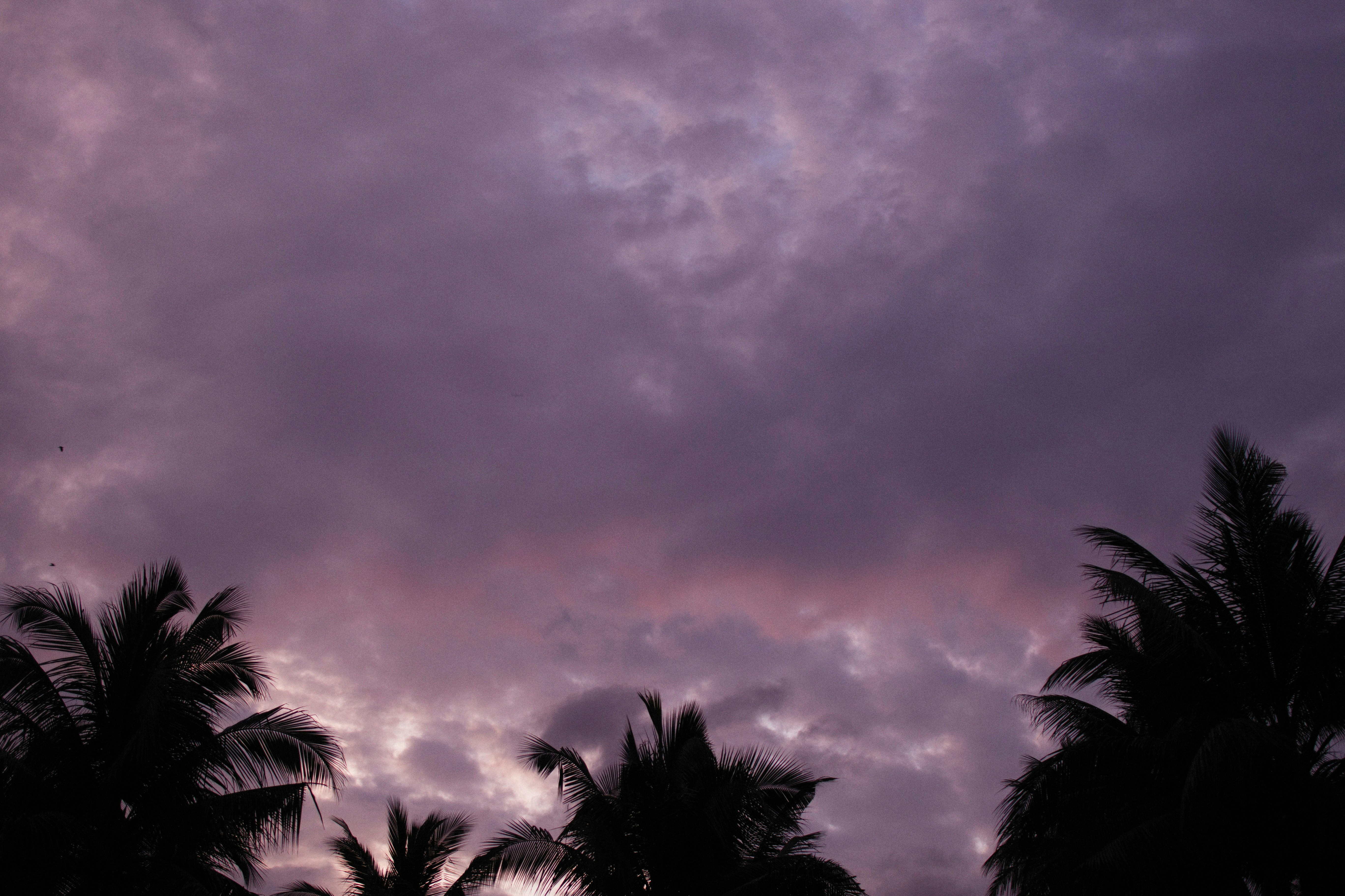 Photo by alexeydemidov