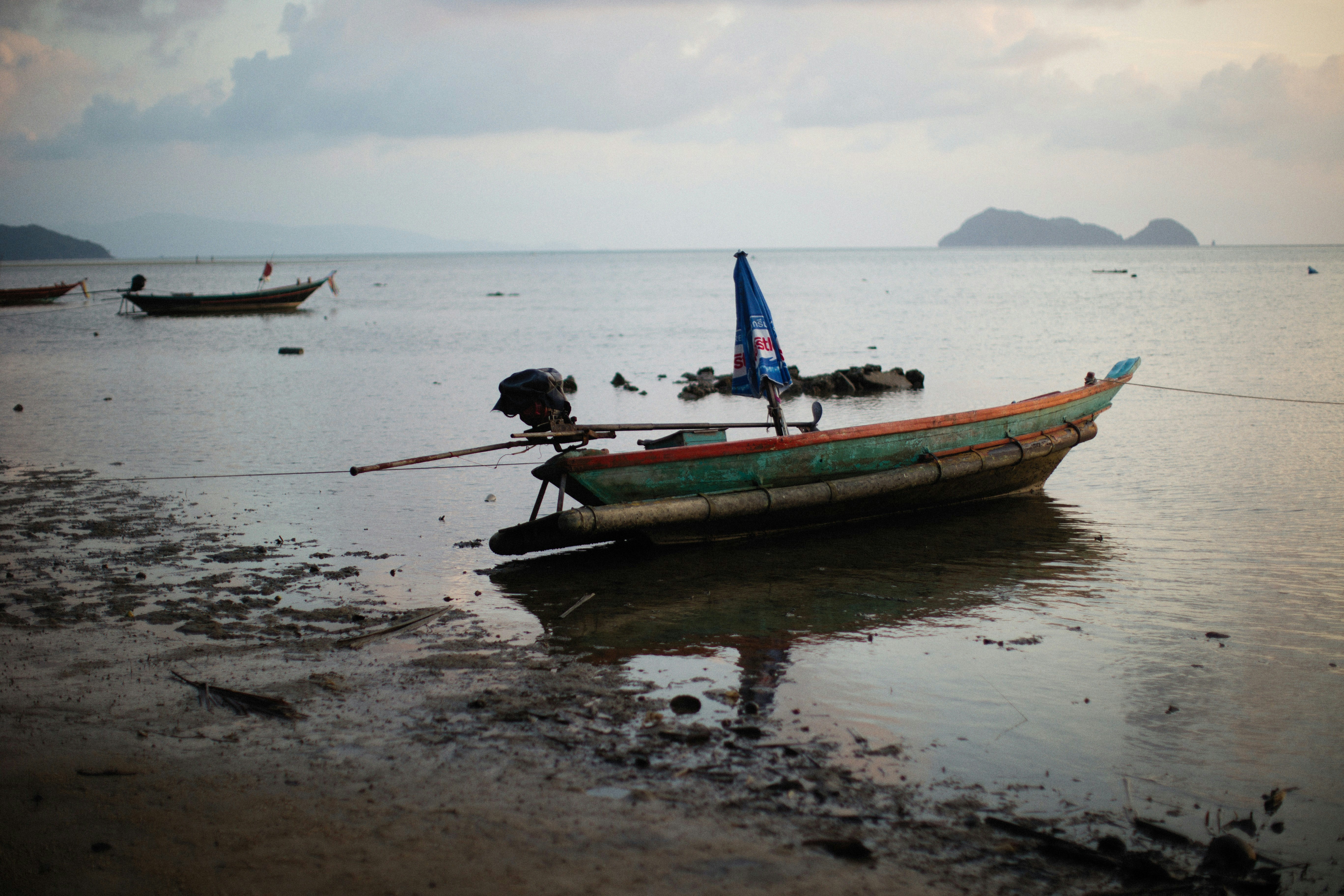 Photo by alexeydemidov