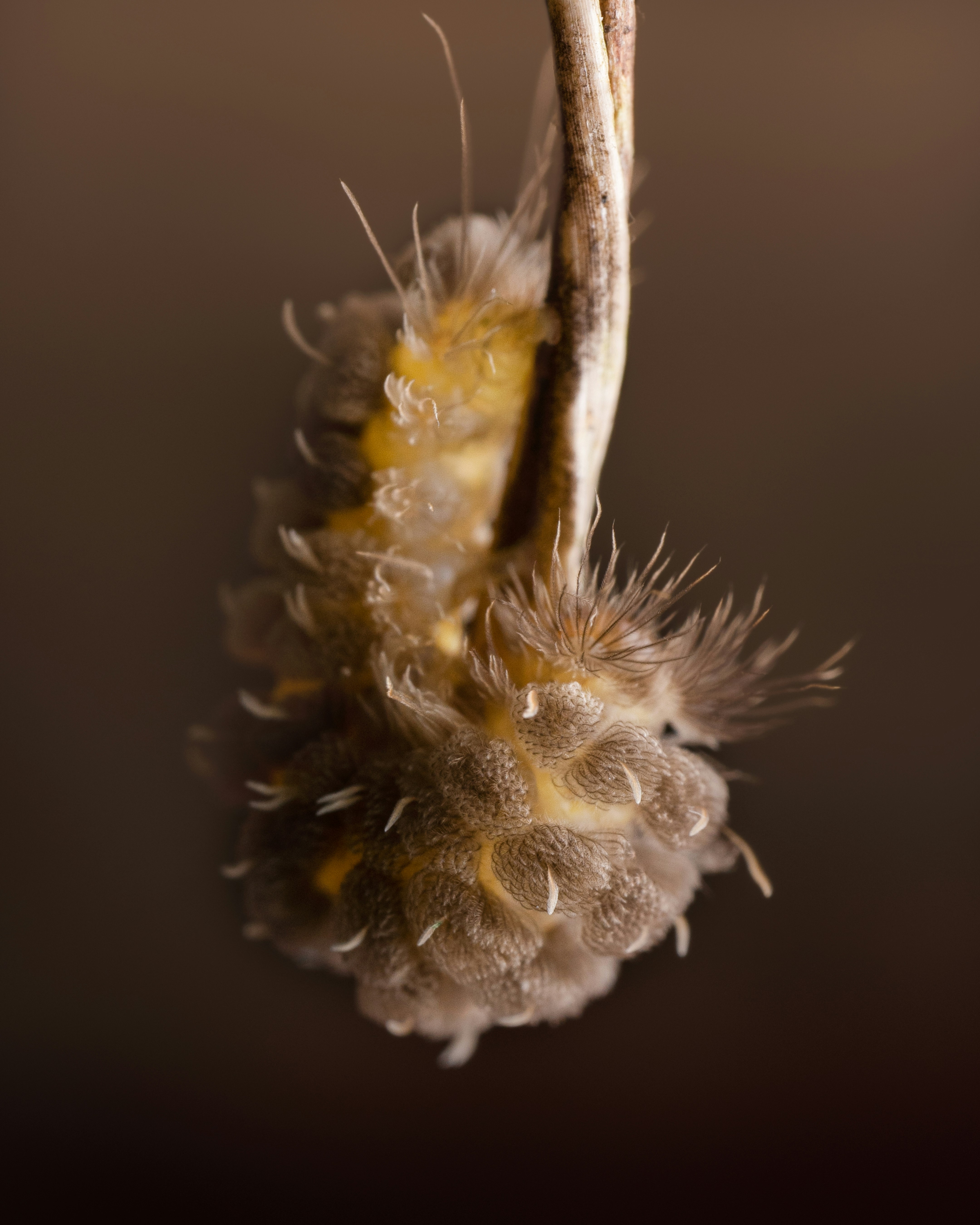 Photo by sahilmohamme841