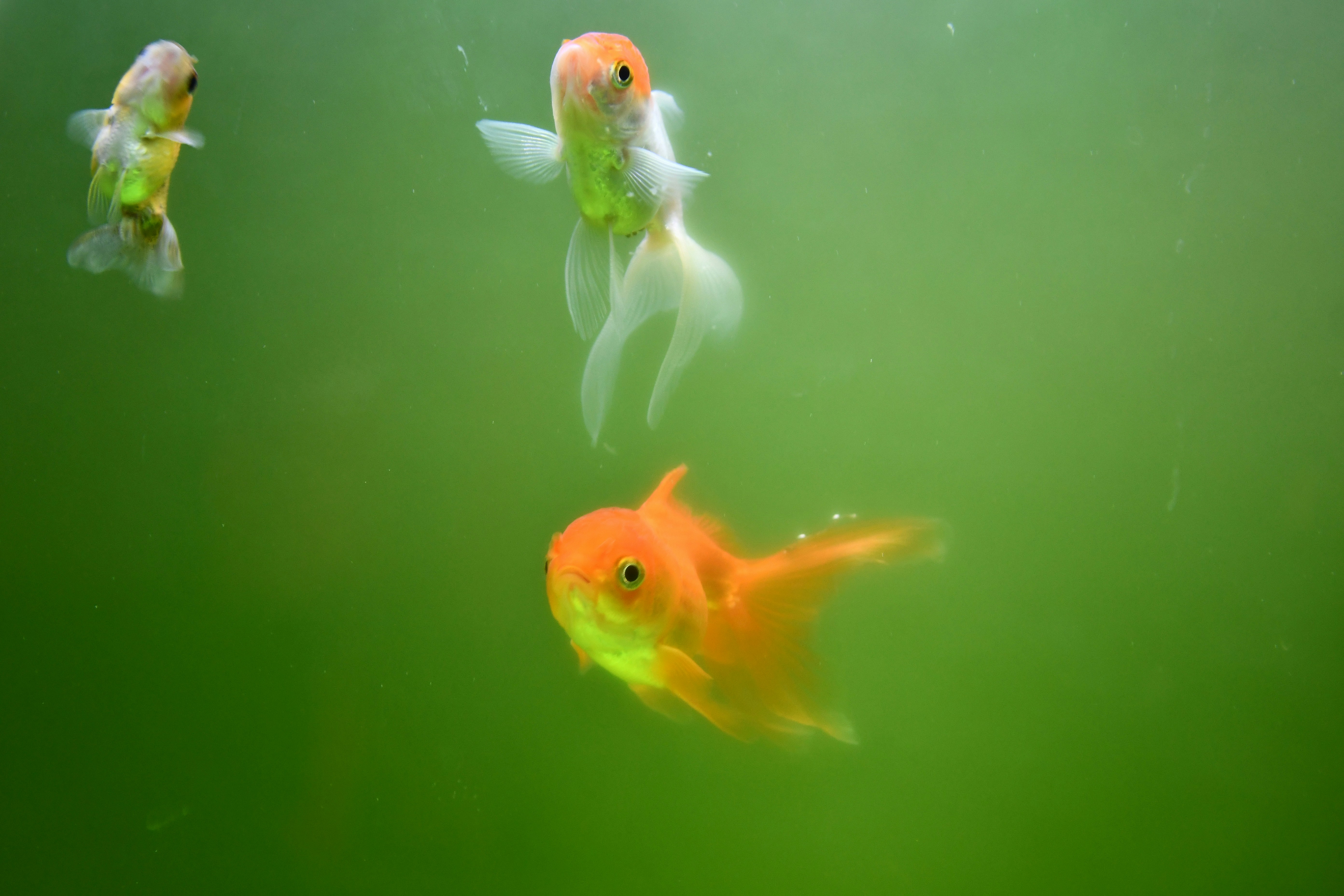 Photo by skypeople101