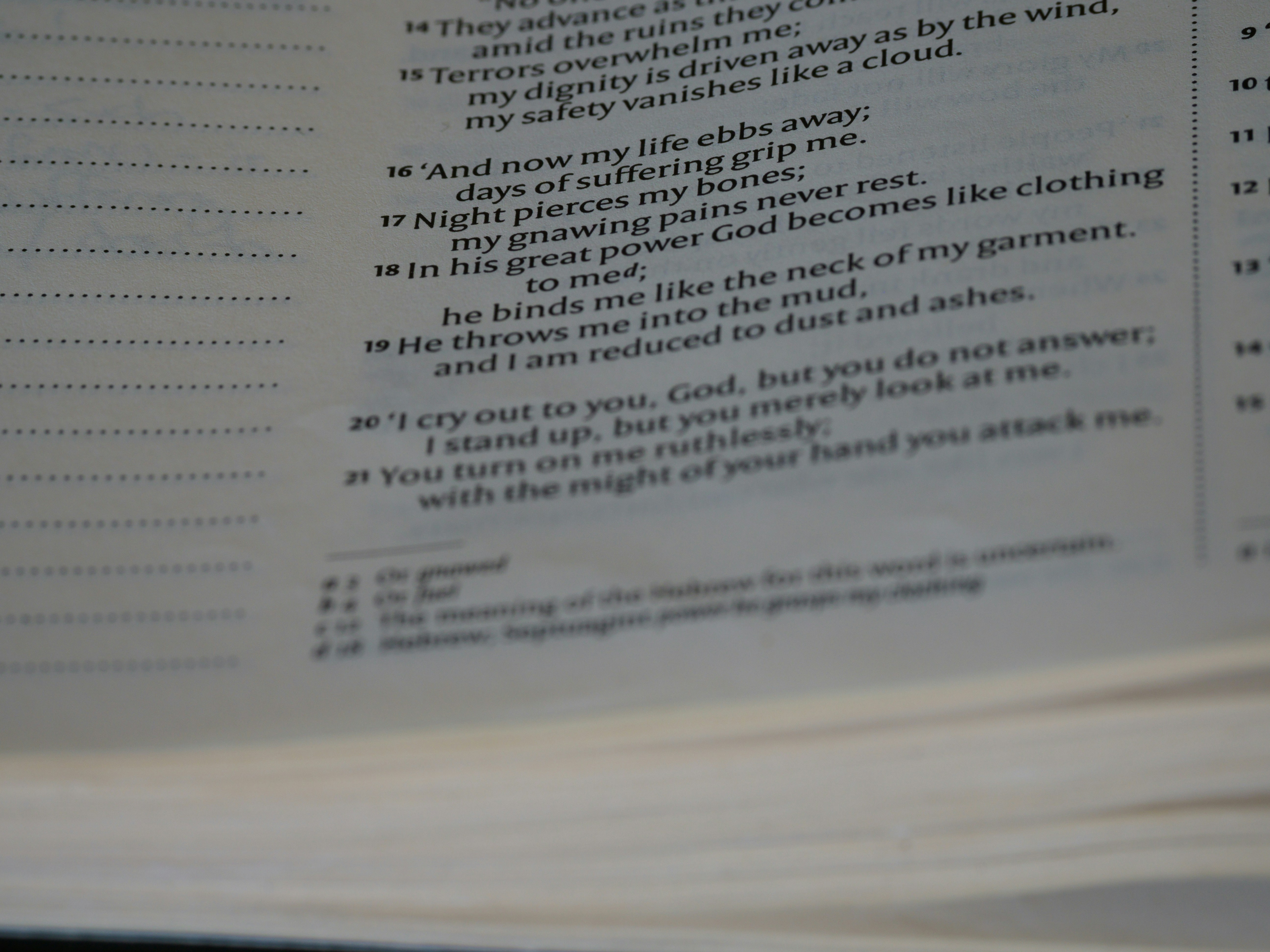 close up, bokeh, macro, blur, blurred background, close focus, bible, old testament, hebrew bible, christian, judaism, history, text, reading, bible study, devotions, text, NIV, New International Version, type, typography, canon, christianity, holy scripture, holy bible, scripture, old testament, hebrew bible, tanakh, ketuvim, book of job, job, אִיּוֹב, theodicy, satan, the accuser, הַשָּׂטָן, <br />