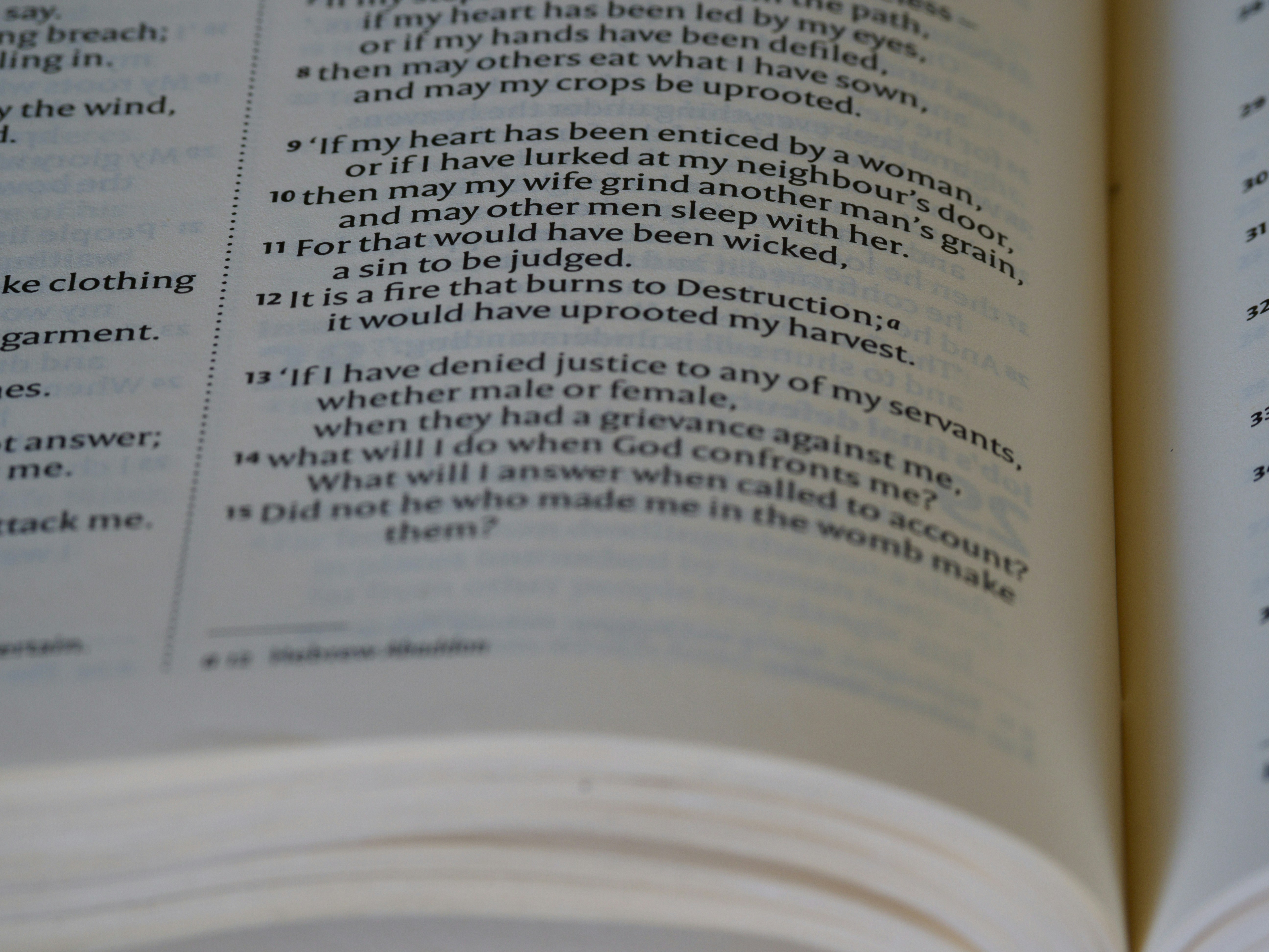 Photo by brett_jordan