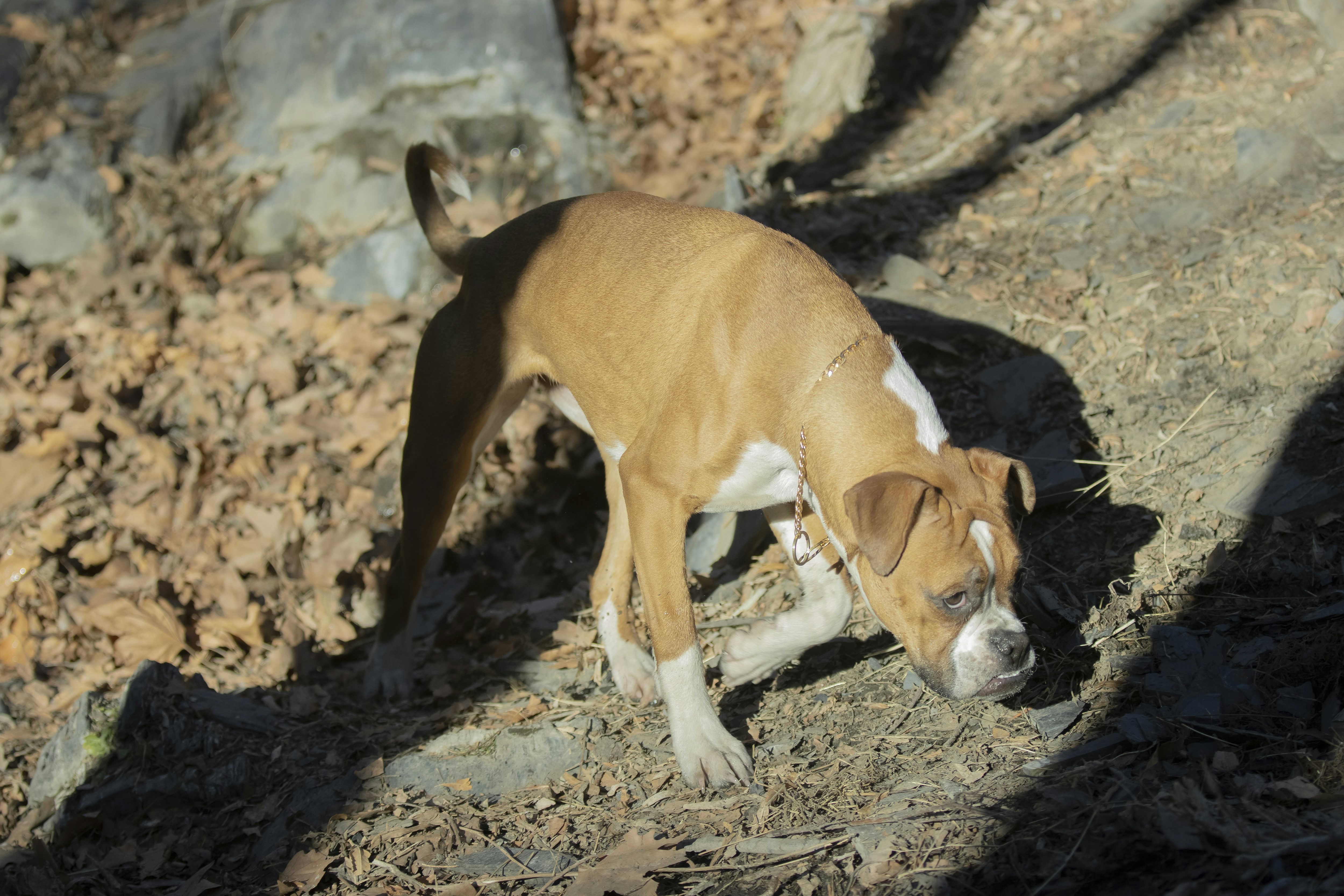 Photo by mostafa_meraji