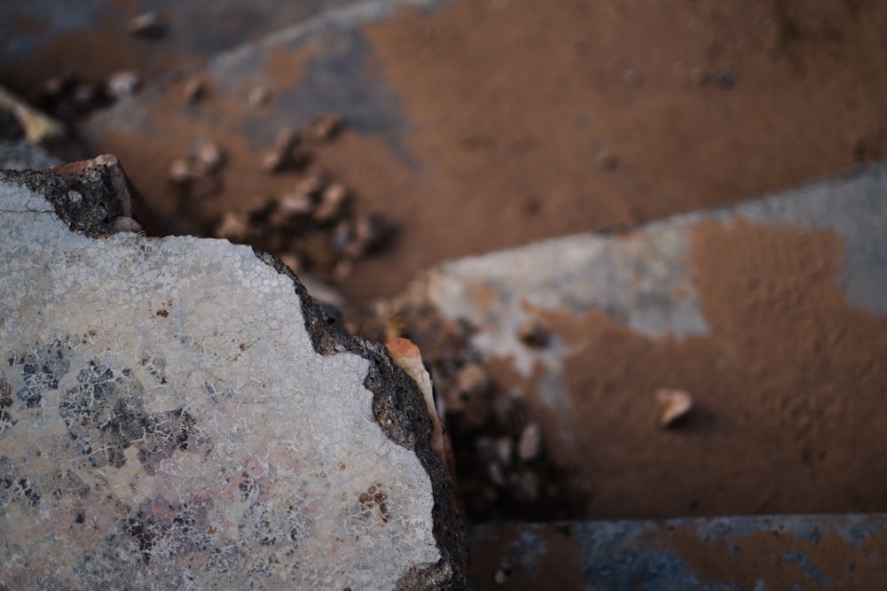 a close up of a rock with dirt on it