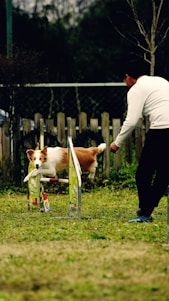 a man playing with a dog in a yard