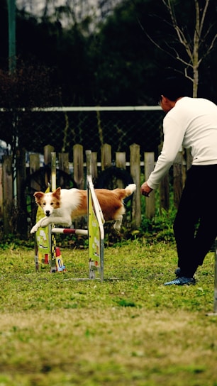 a man playing with a dog in a yard