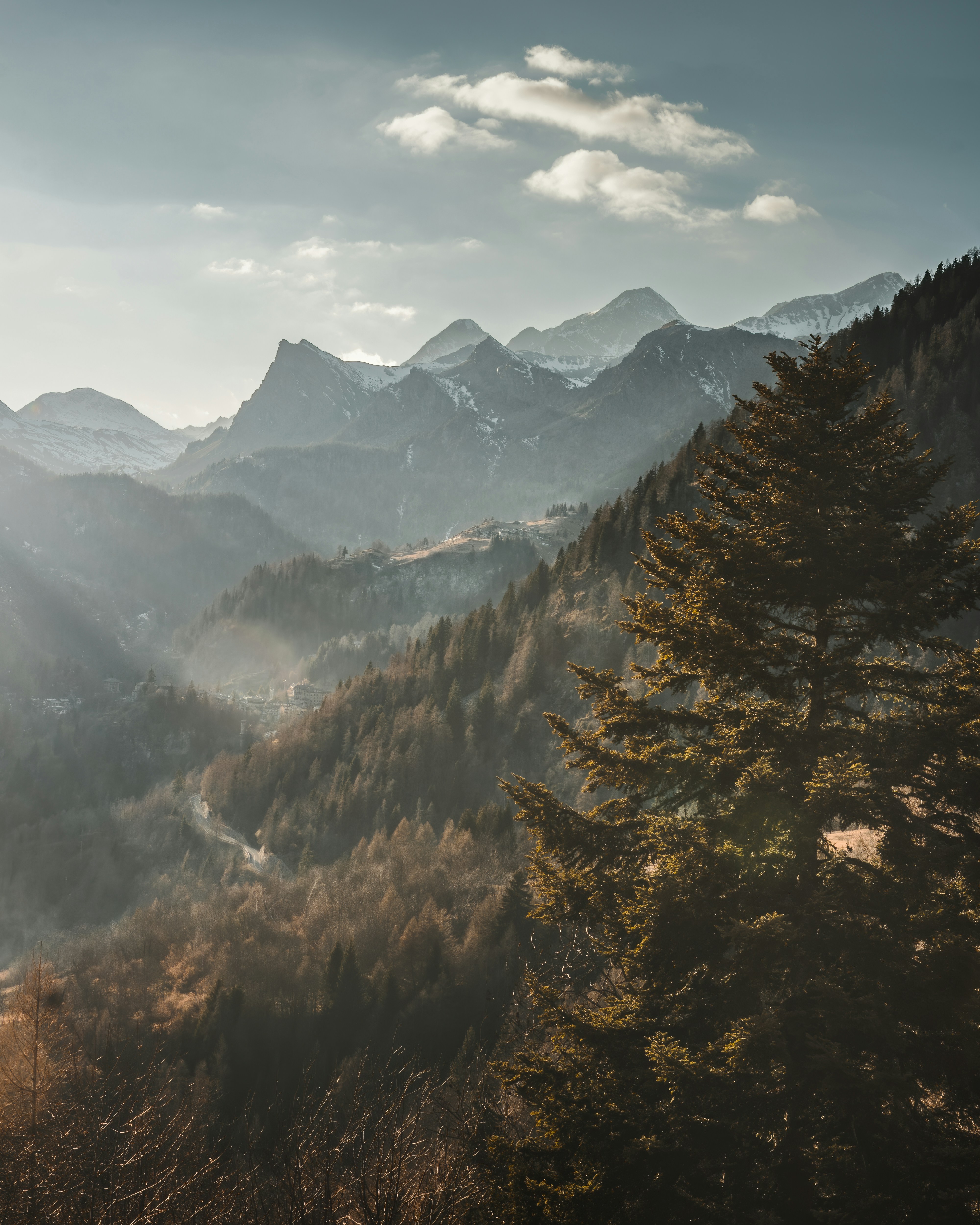 Photo by nardiniphoto