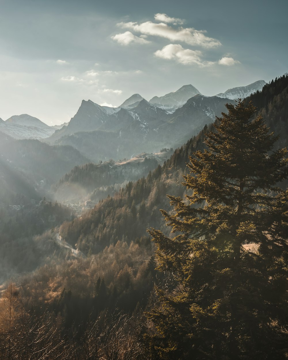 a view of a mountain range with trees in the foreground