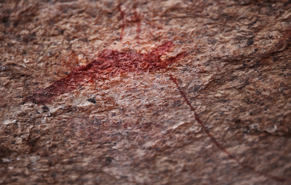 a close up of a rock with a red substance on it