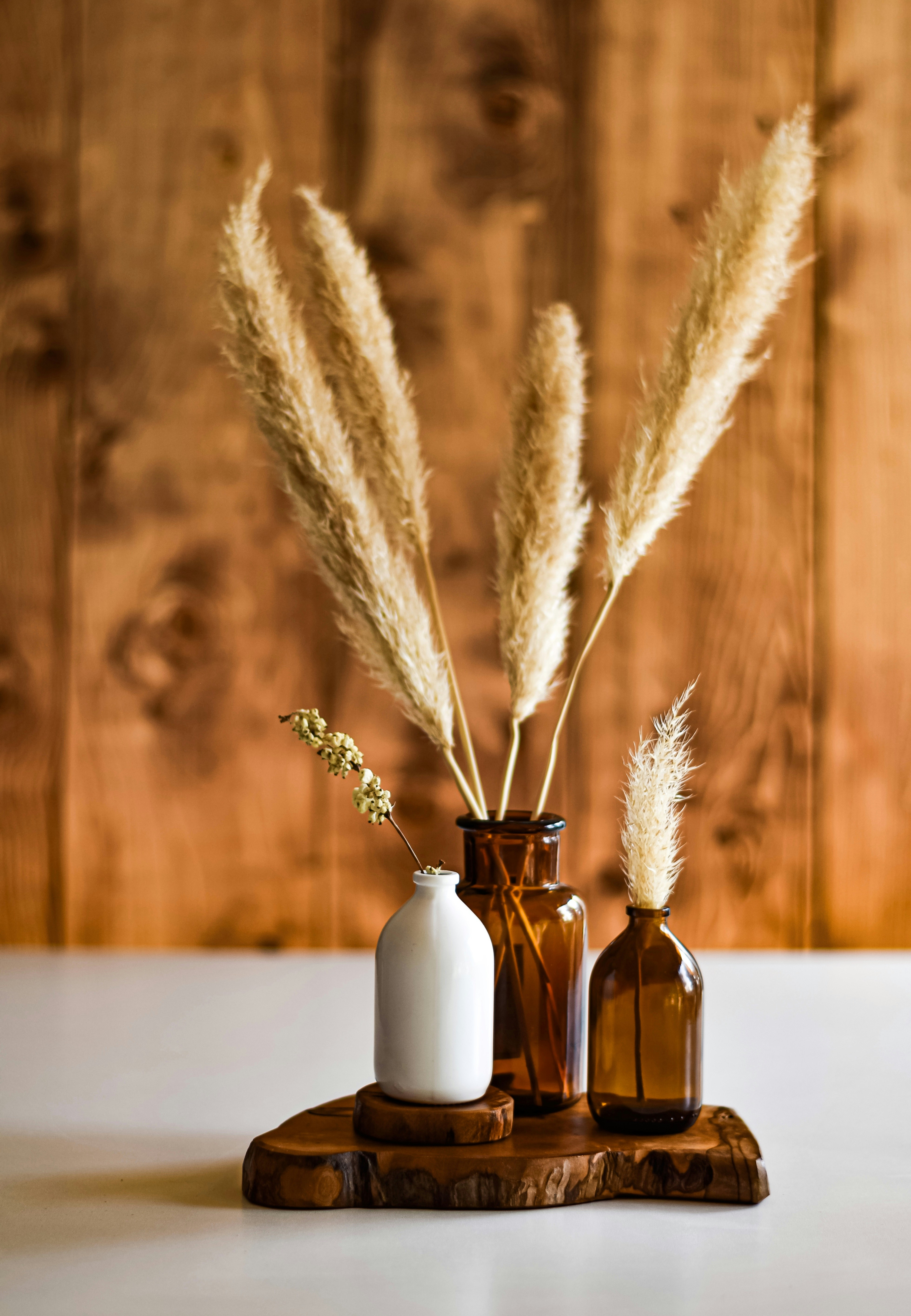 Photo by nasimkeshmiri