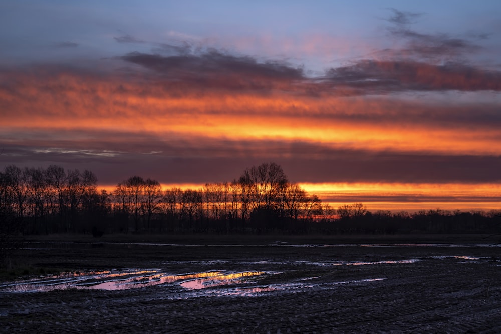 a sunset over a muddy field with trees in the background