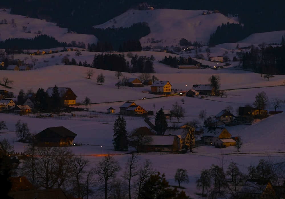 Eine verschneite Landschaft mit Häusern und Bäumen bei Nacht