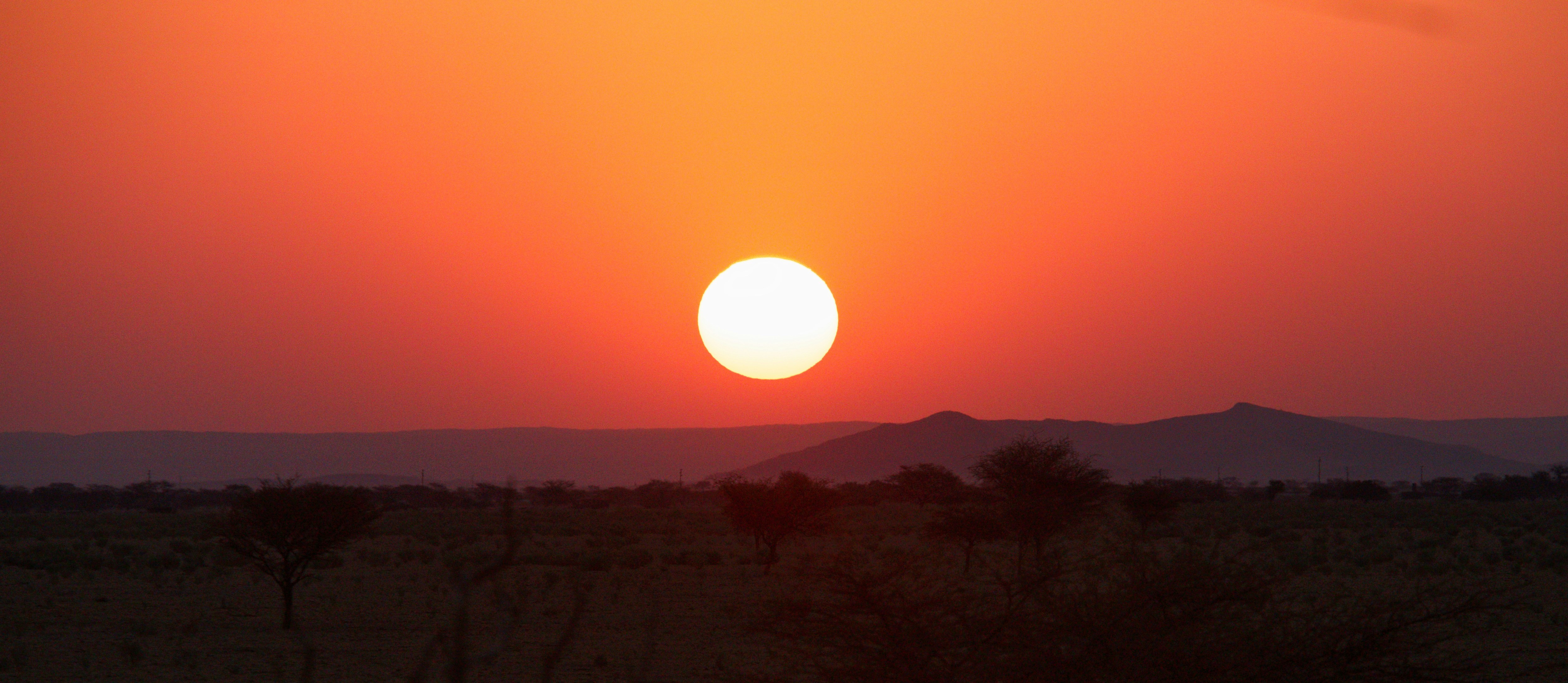 Cover Image for Calendar