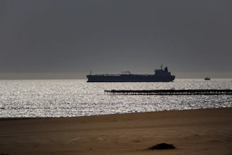 A group of certified seafarers preparing to board a large cargo ship at dawn.