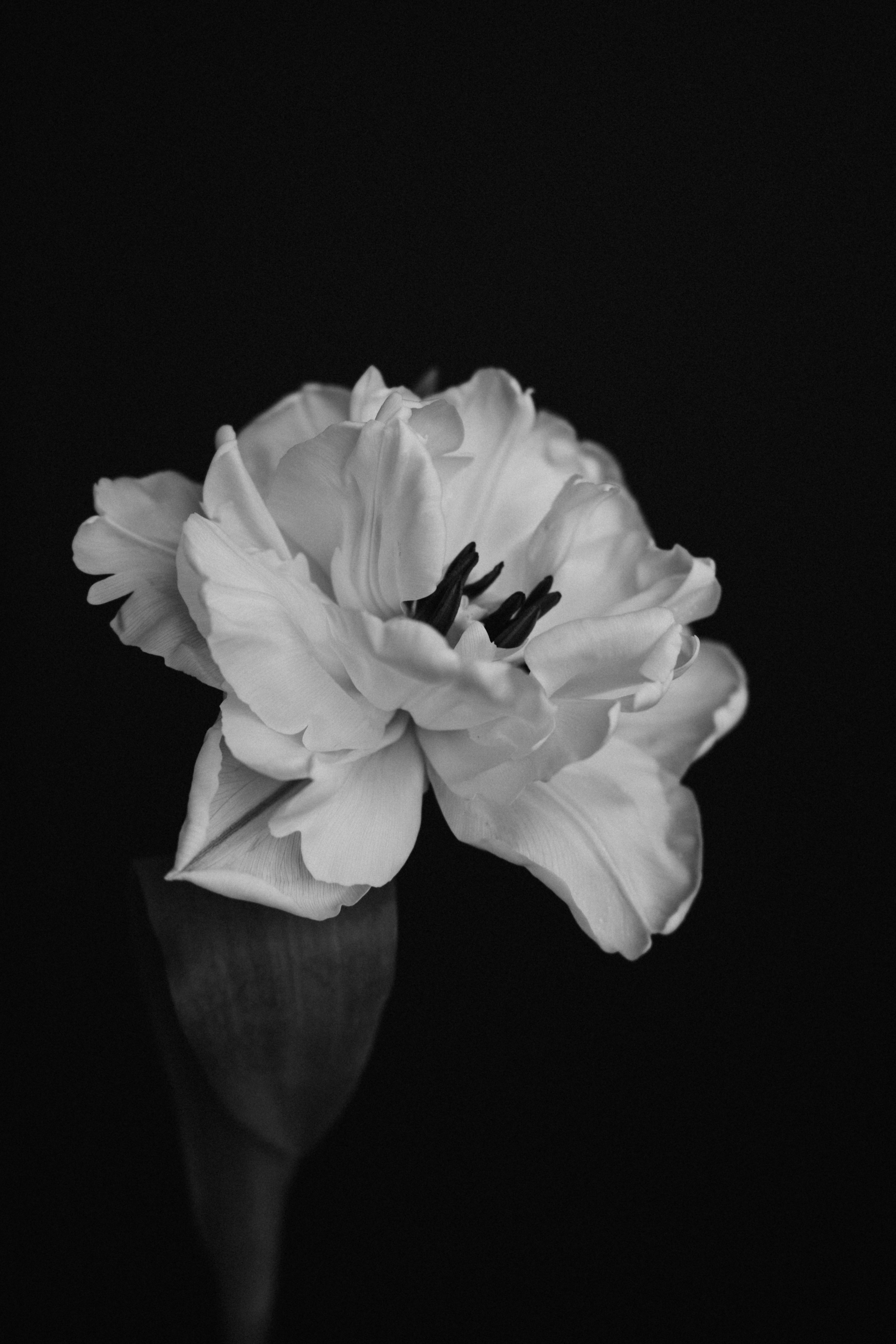 Photo by albina___white