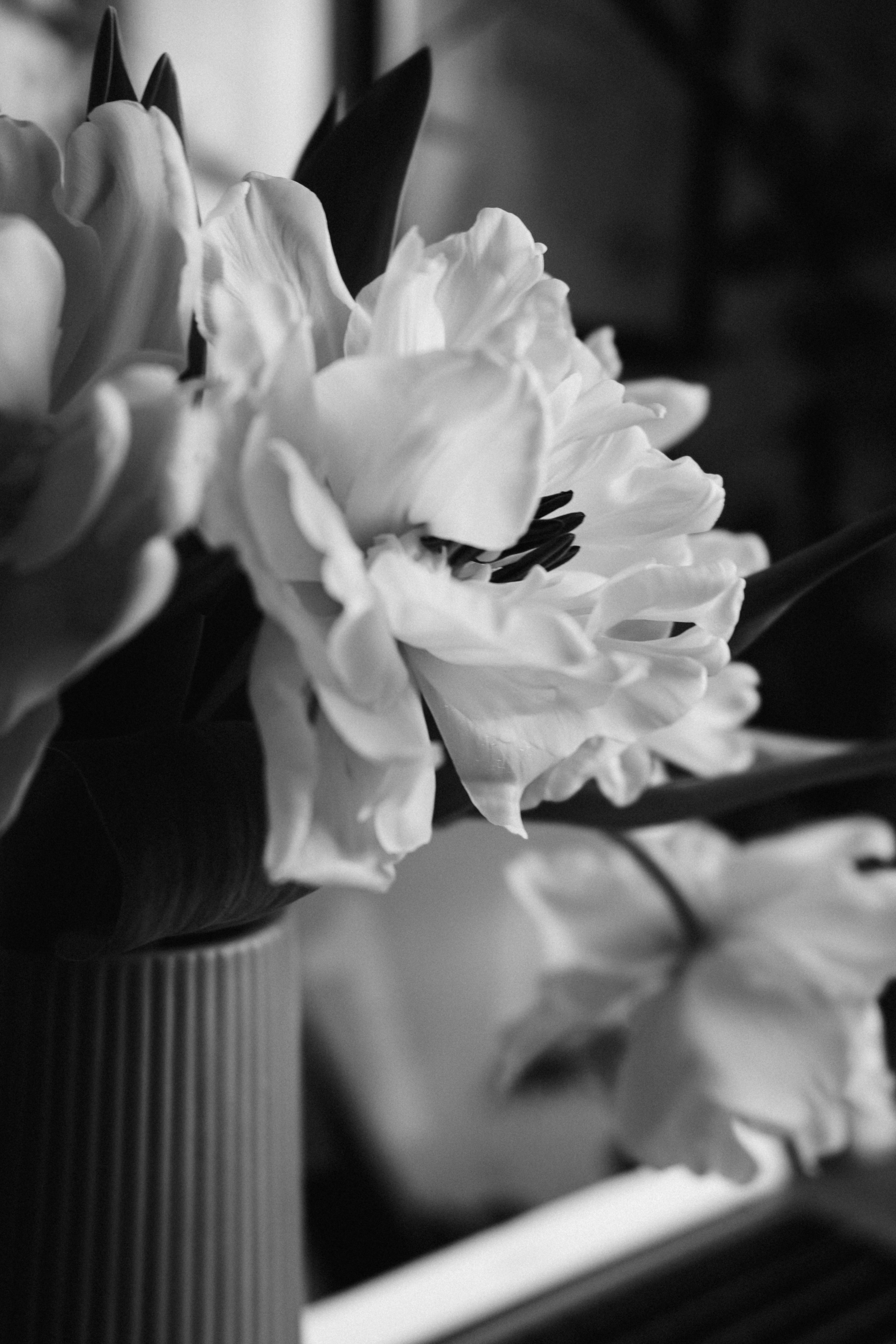 Photo by albina___white